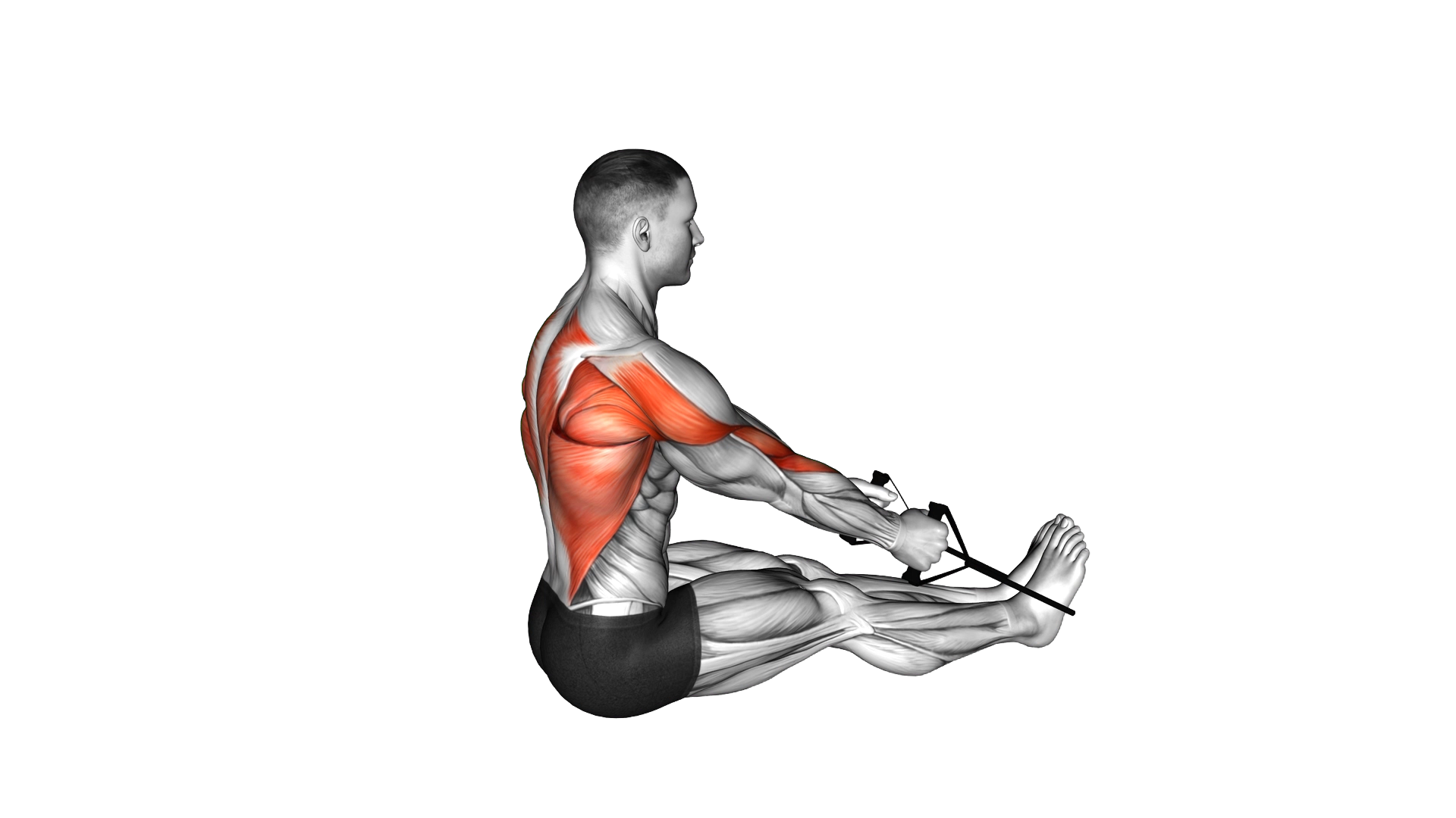 Band straight exercise demonstration