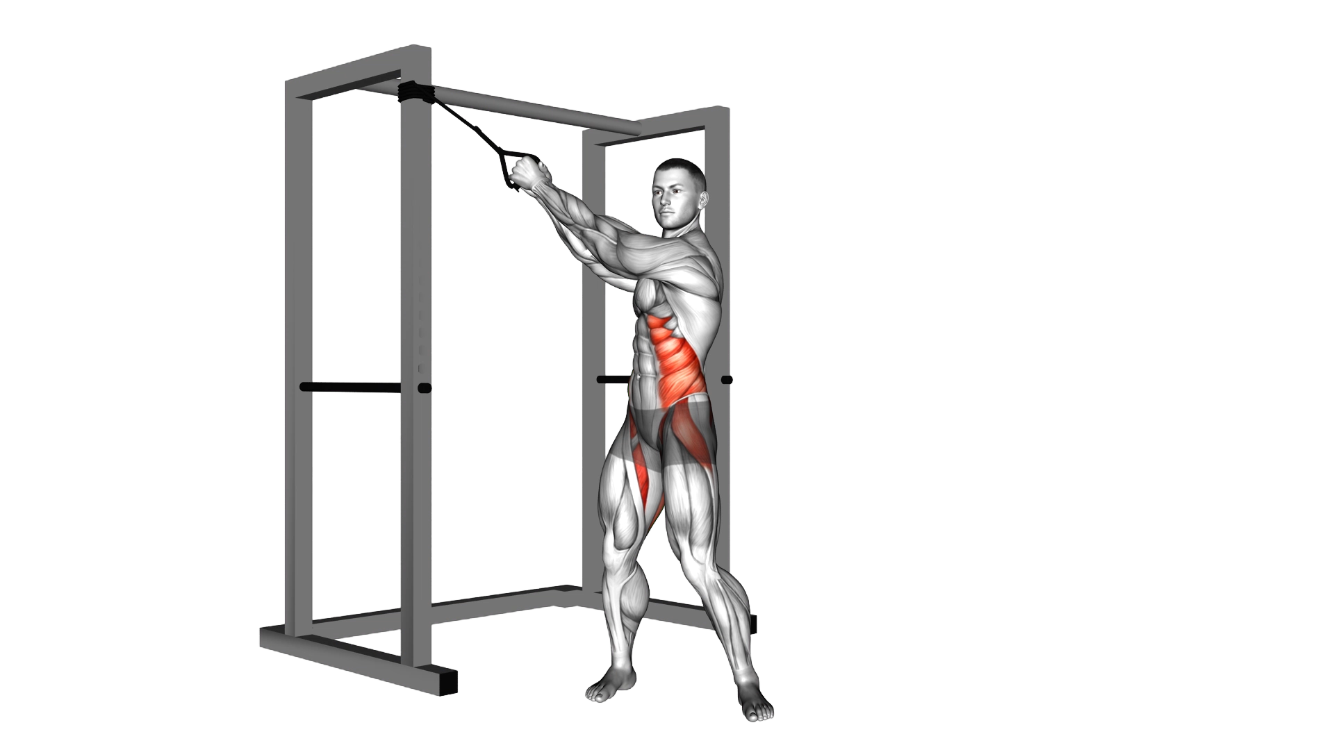 Band twist (up down) exercise demonstration