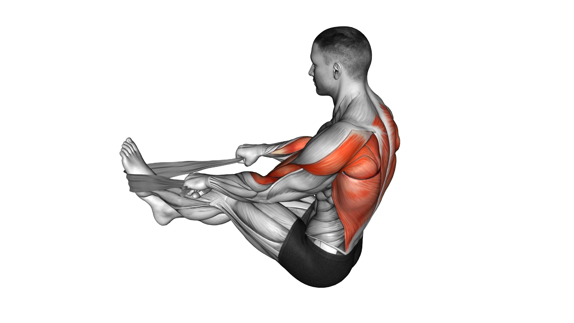 Seated Row with Towel exercise demonstration
