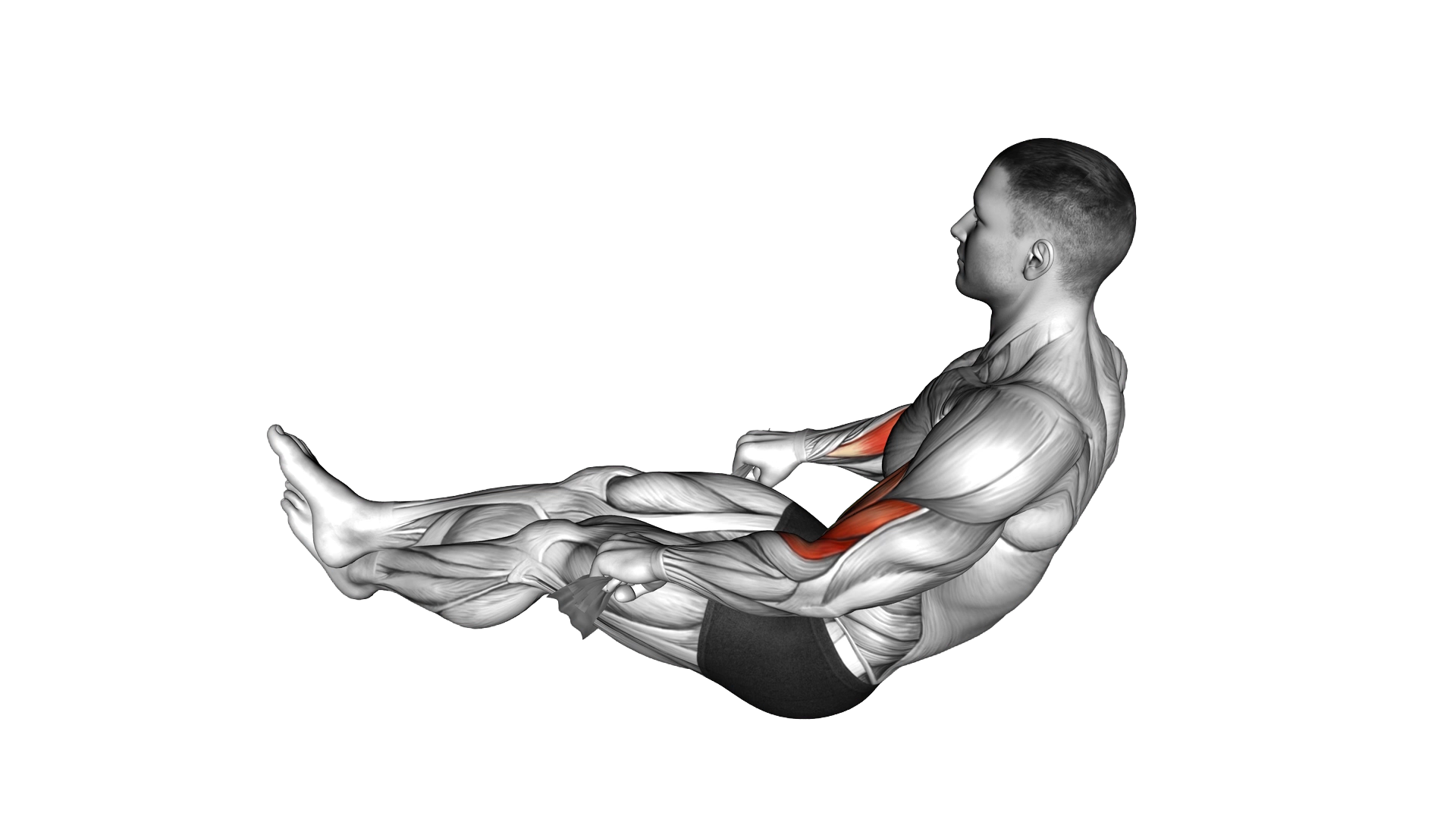 Two Legs Reverse Biceps Curl with Towel exercise demonstration