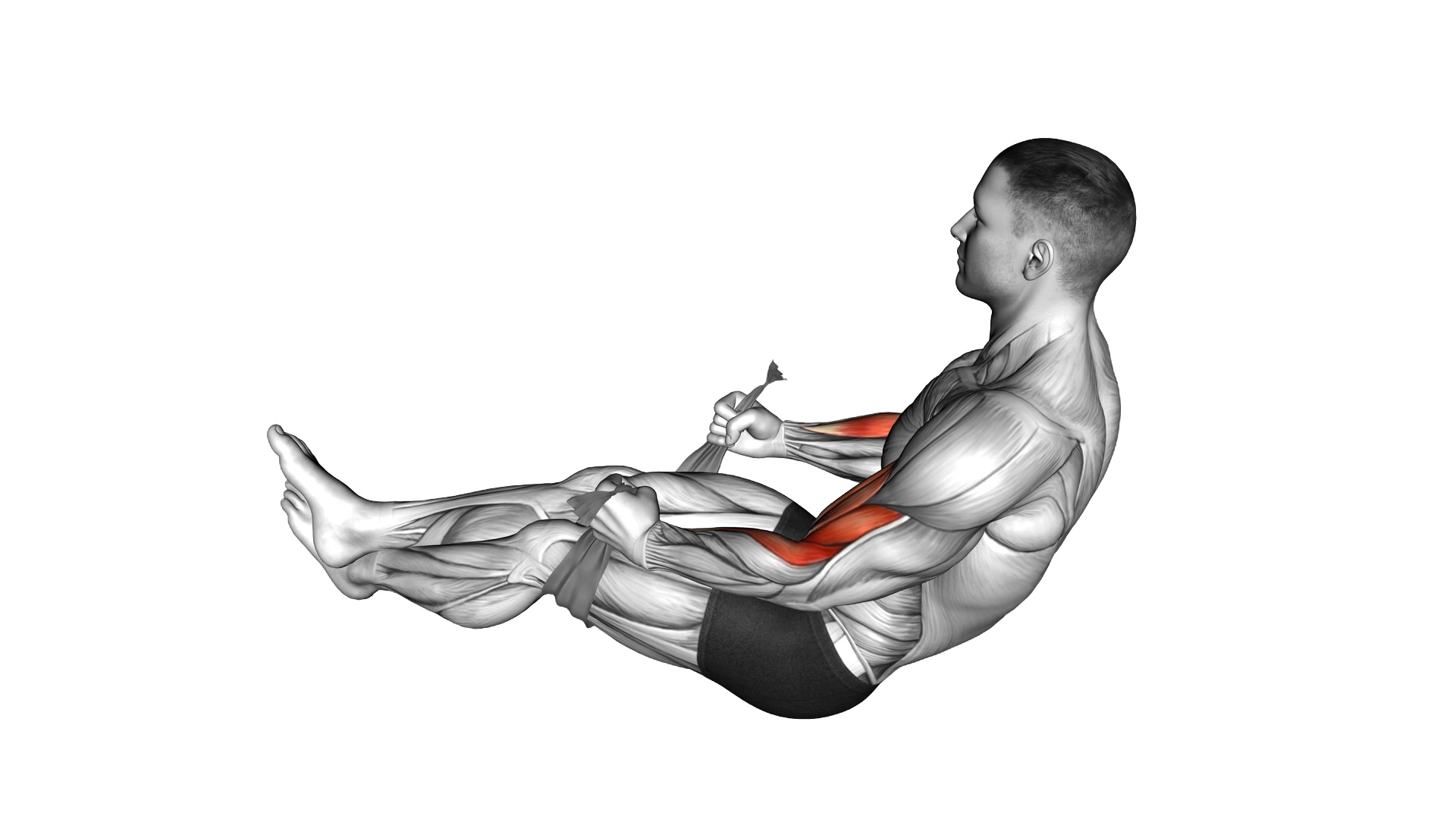Two Legs Hammer Curl with Towel exercise demonstration