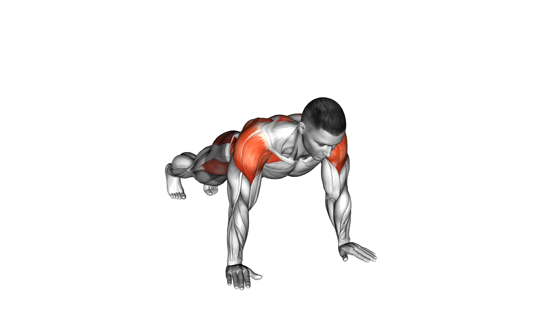Plank Lateral Raise exercise demonstration