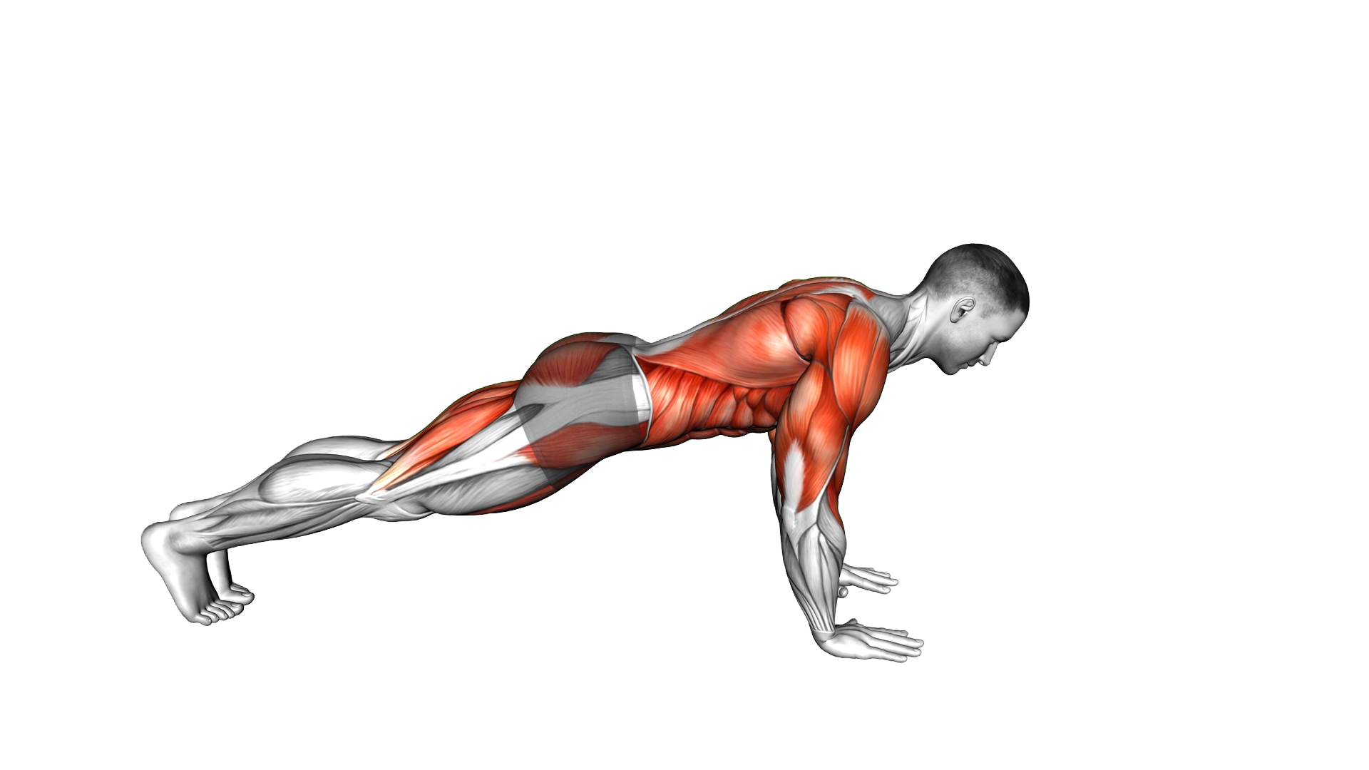 Front Plank Walkout exercise demonstration