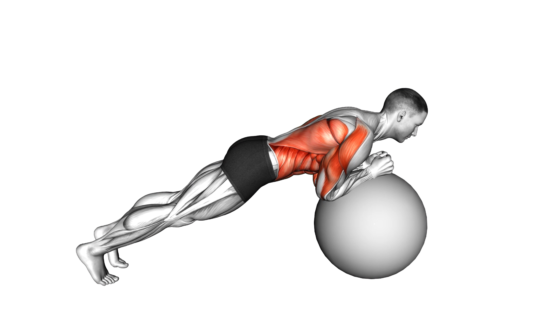 Exercise Ball Body Saw exercise demonstration