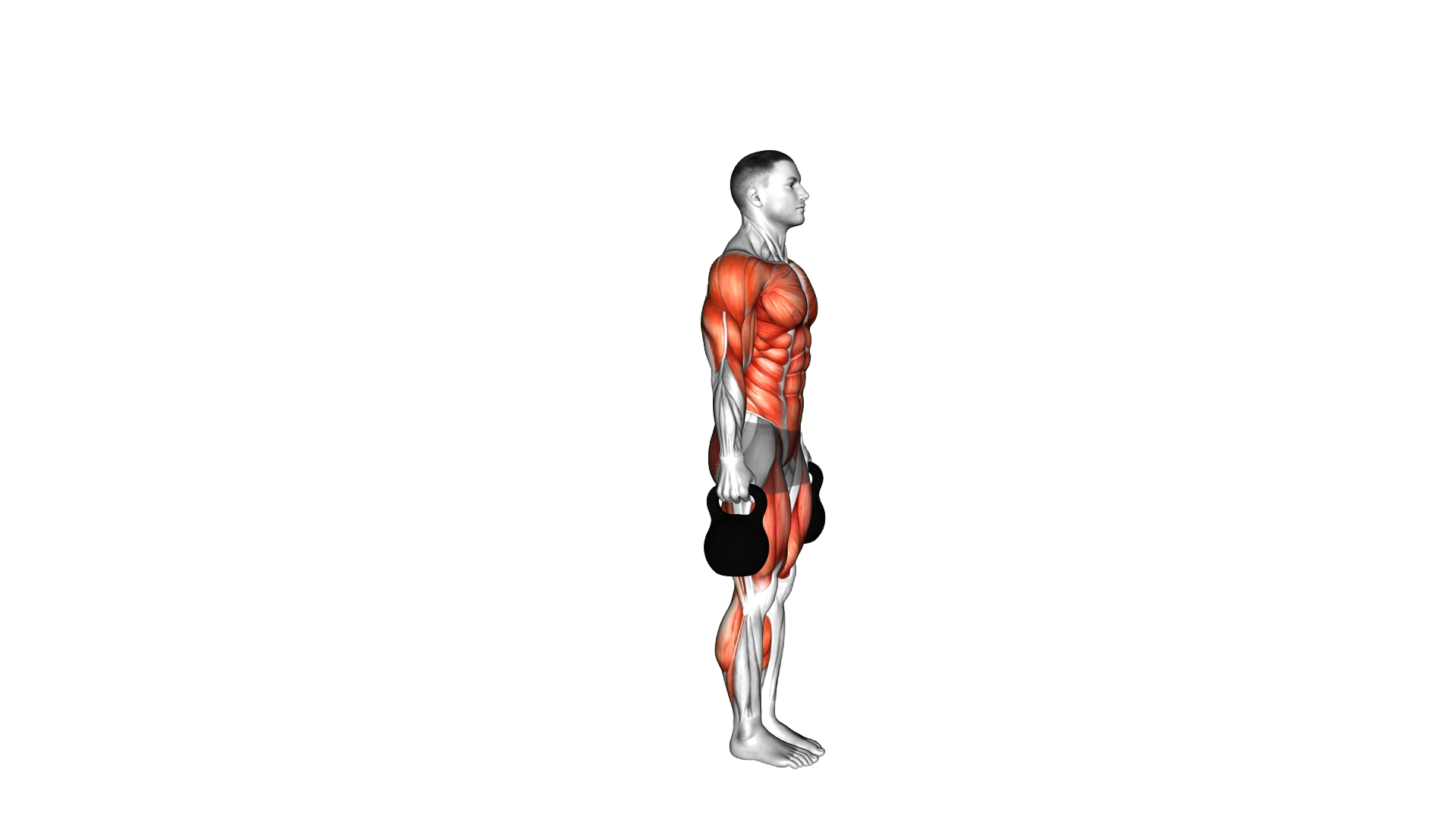 Kettlebell Burpee exercise demonstration