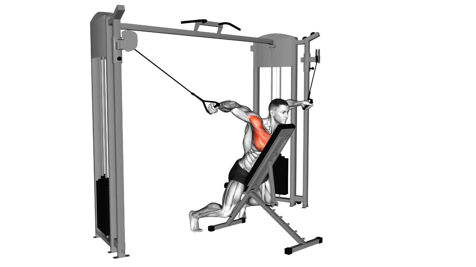 Cable Fly with Chest Supported exercise demonstration