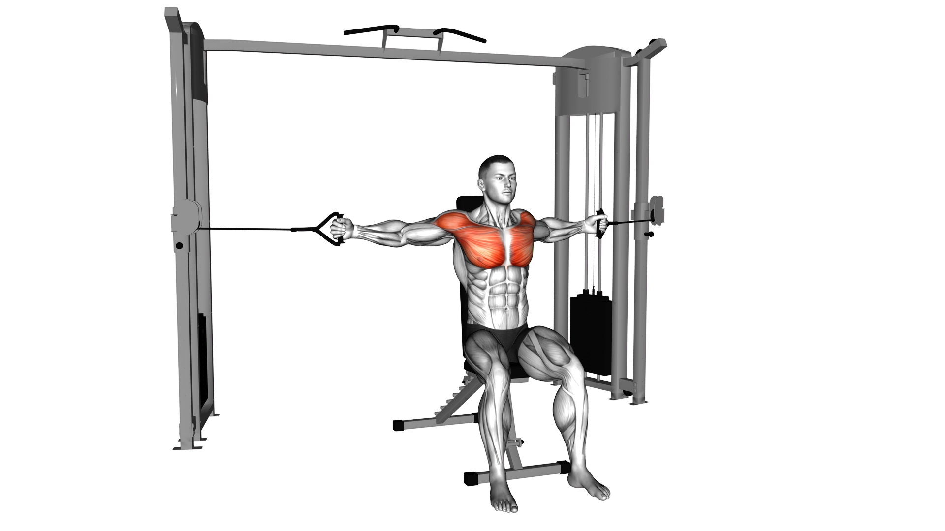 Cable Seated Chest Fly exercise demonstration