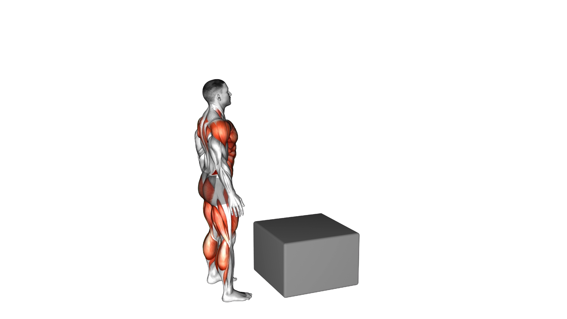 Jump Box Over exercise demonstration