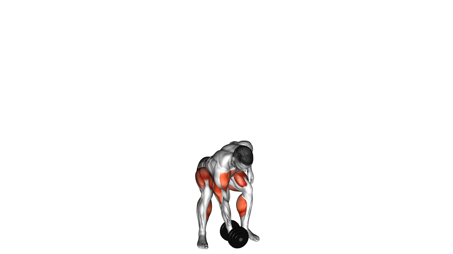 Dumbbell One Arm Snatch exercise demonstration