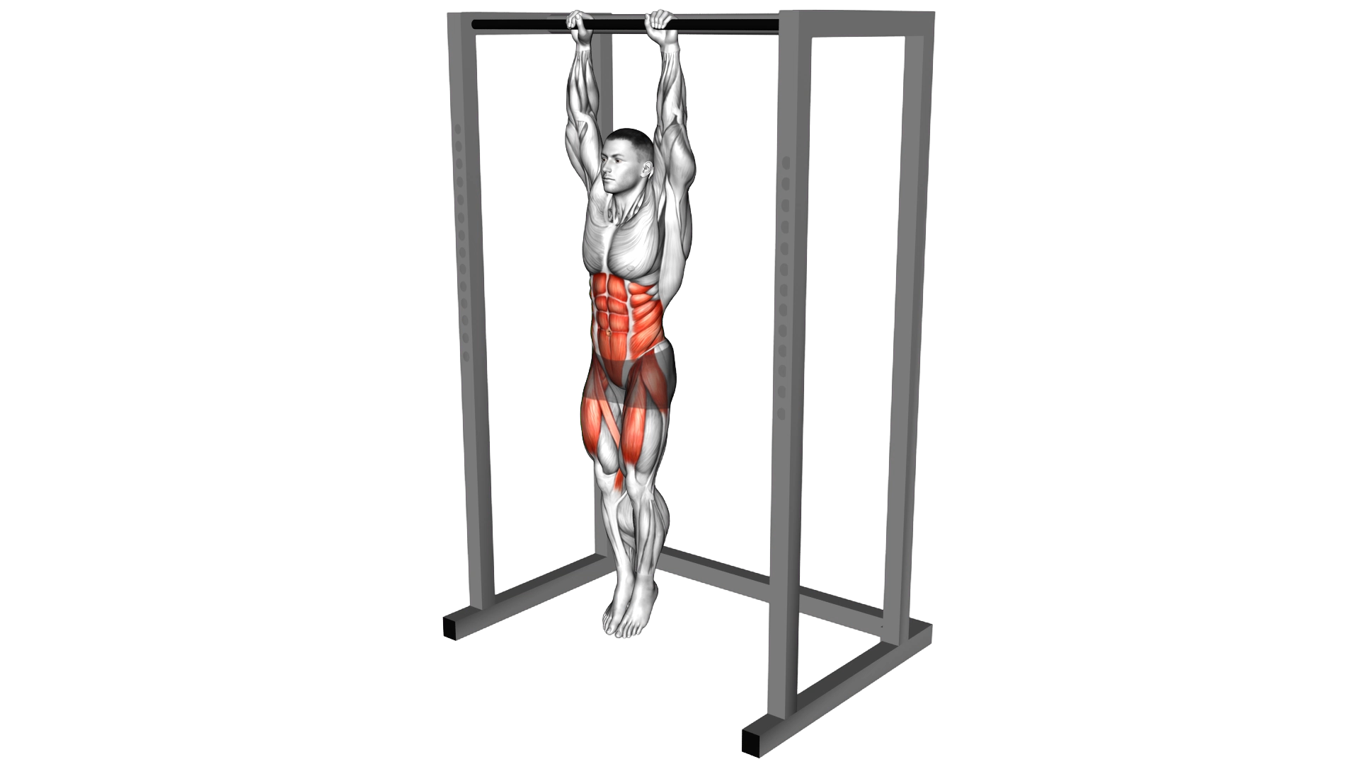 Hanging Knees to Elbows exercise demonstration