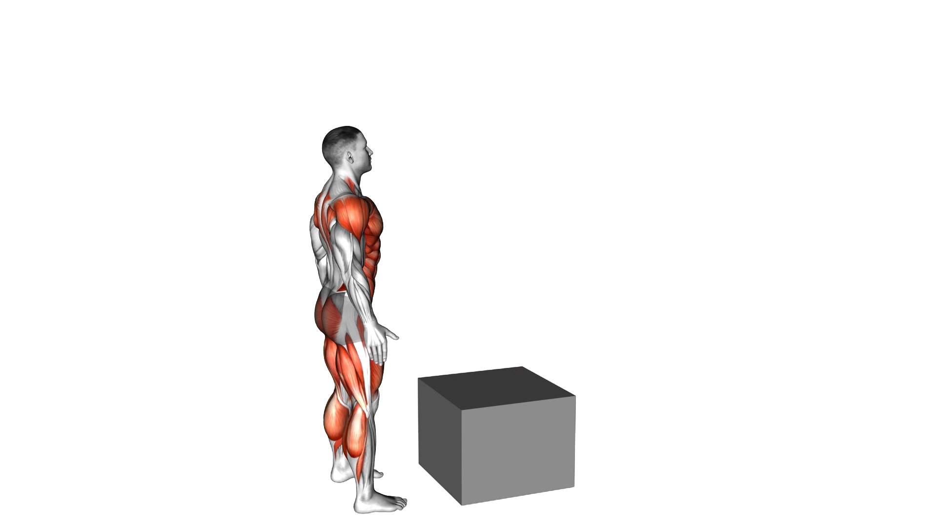 Jump on Fit Box exercise thumbnail