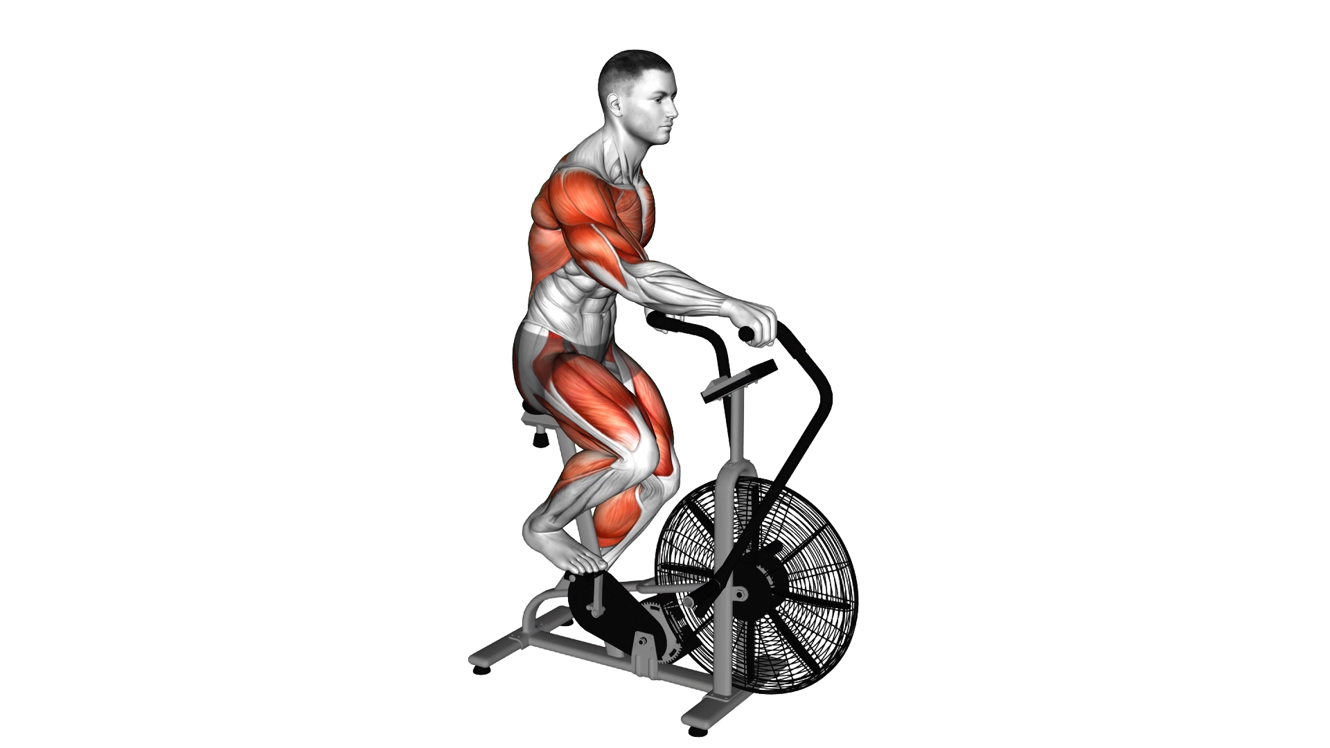 Assault Bike Run exercise demonstration
