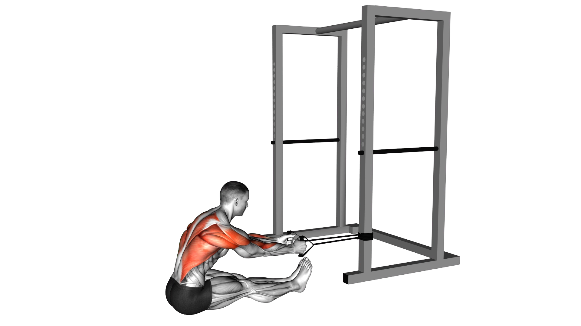 Band seated row exercise demonstration