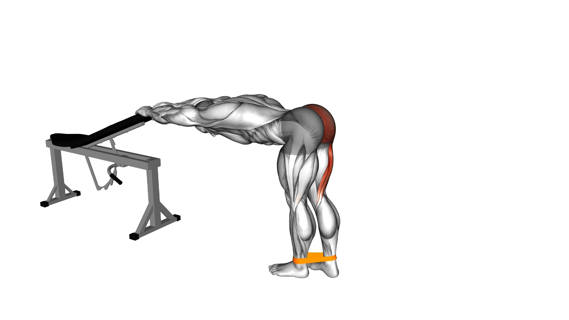 Resistance Band One Leg Kickback (Bent Position) exercise demonstration