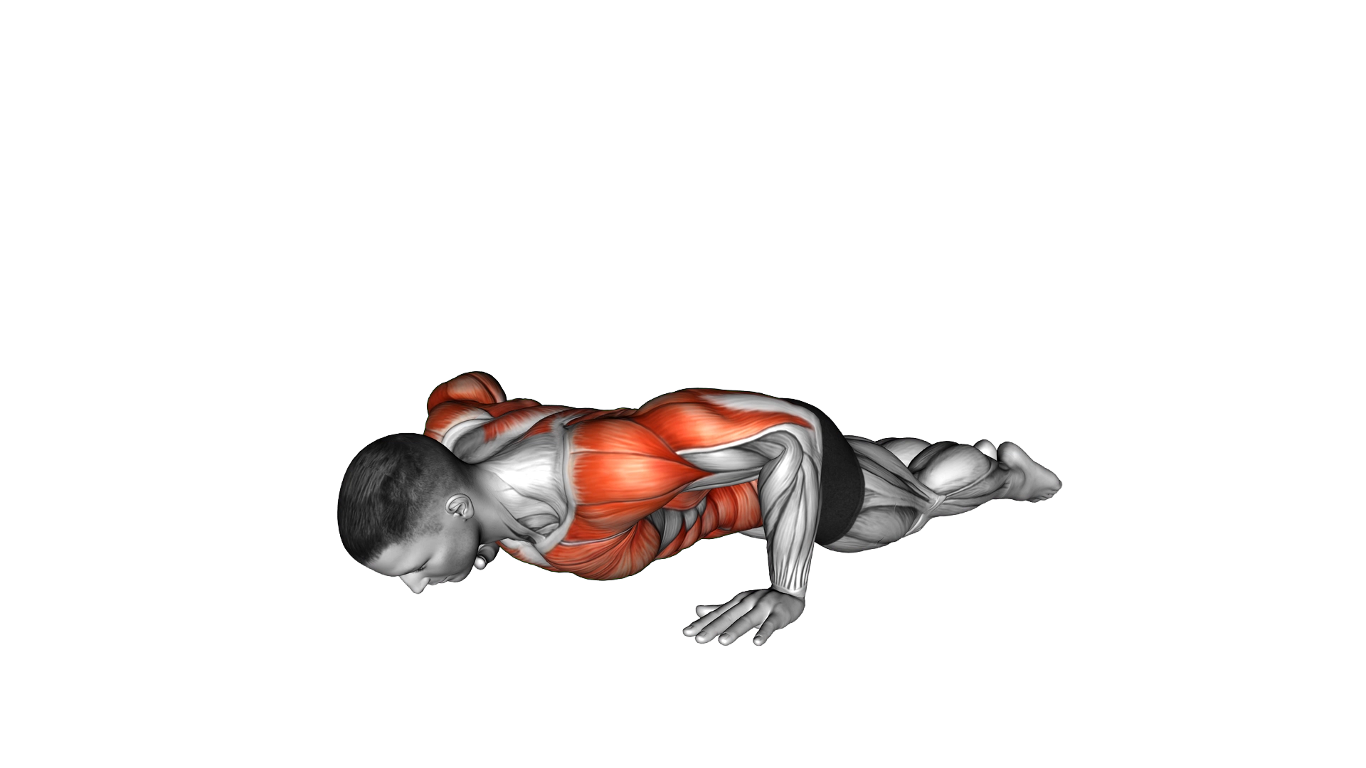 Bodyweight Kneeling Push Up Row exercise demonstration