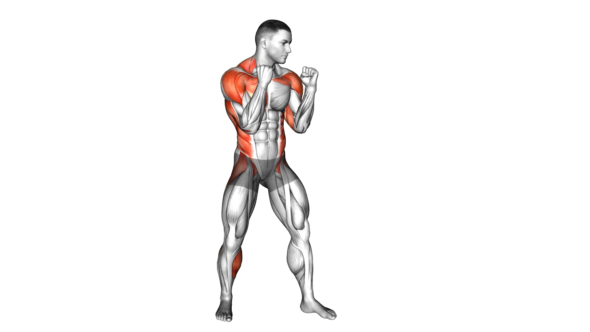 Jab Crosses exercise demonstration