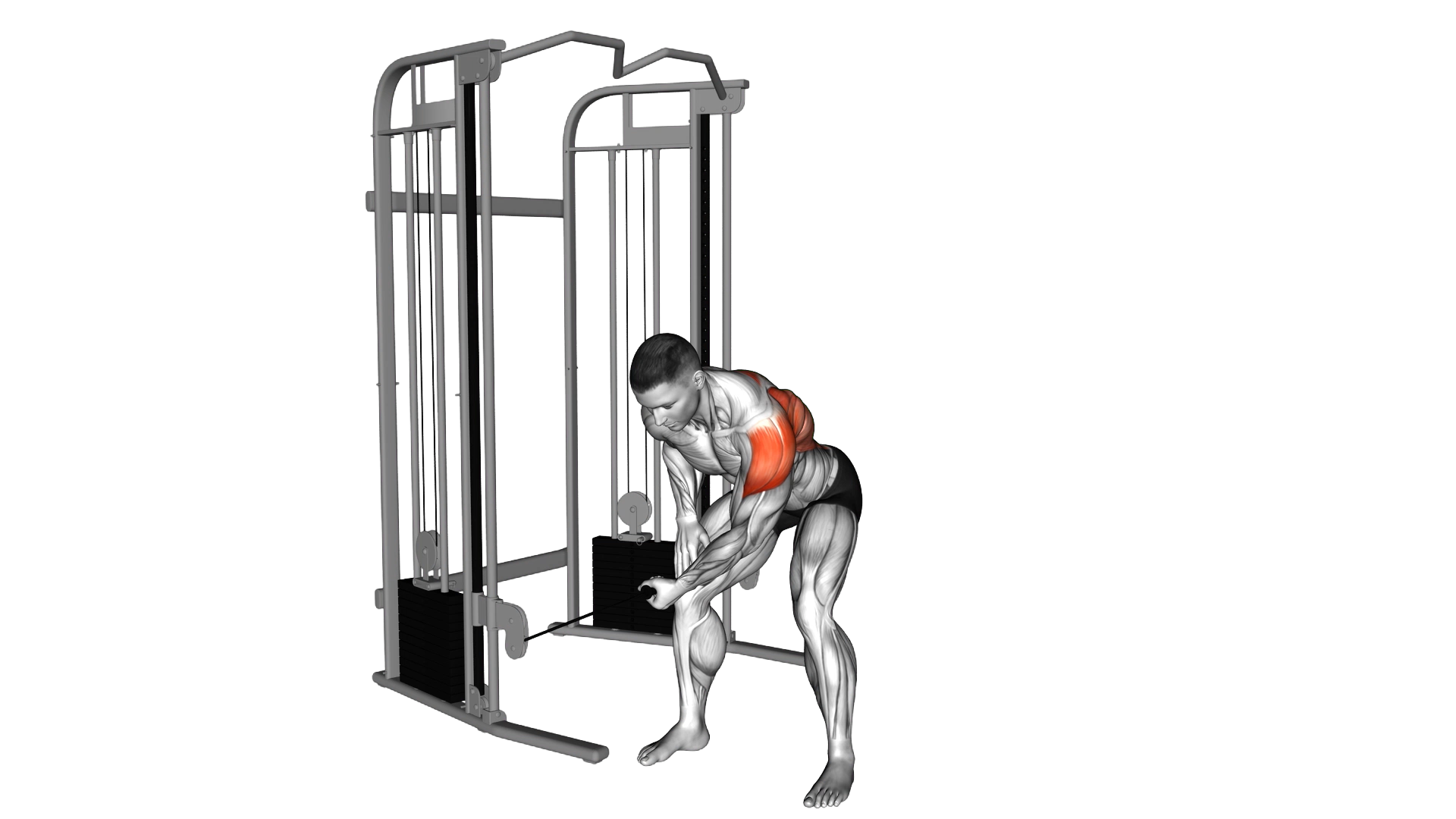 Cable Bent Over One Arm Lateral Raise exercise demonstration