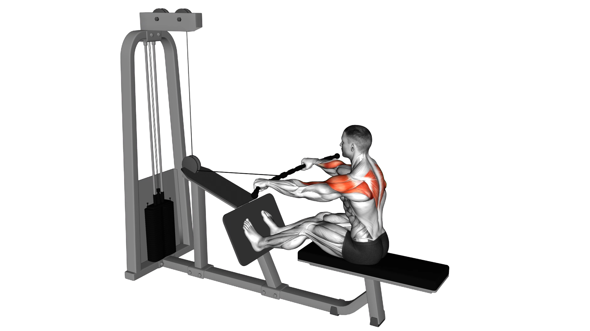 Cable Rear Delt Row exercise demonstration