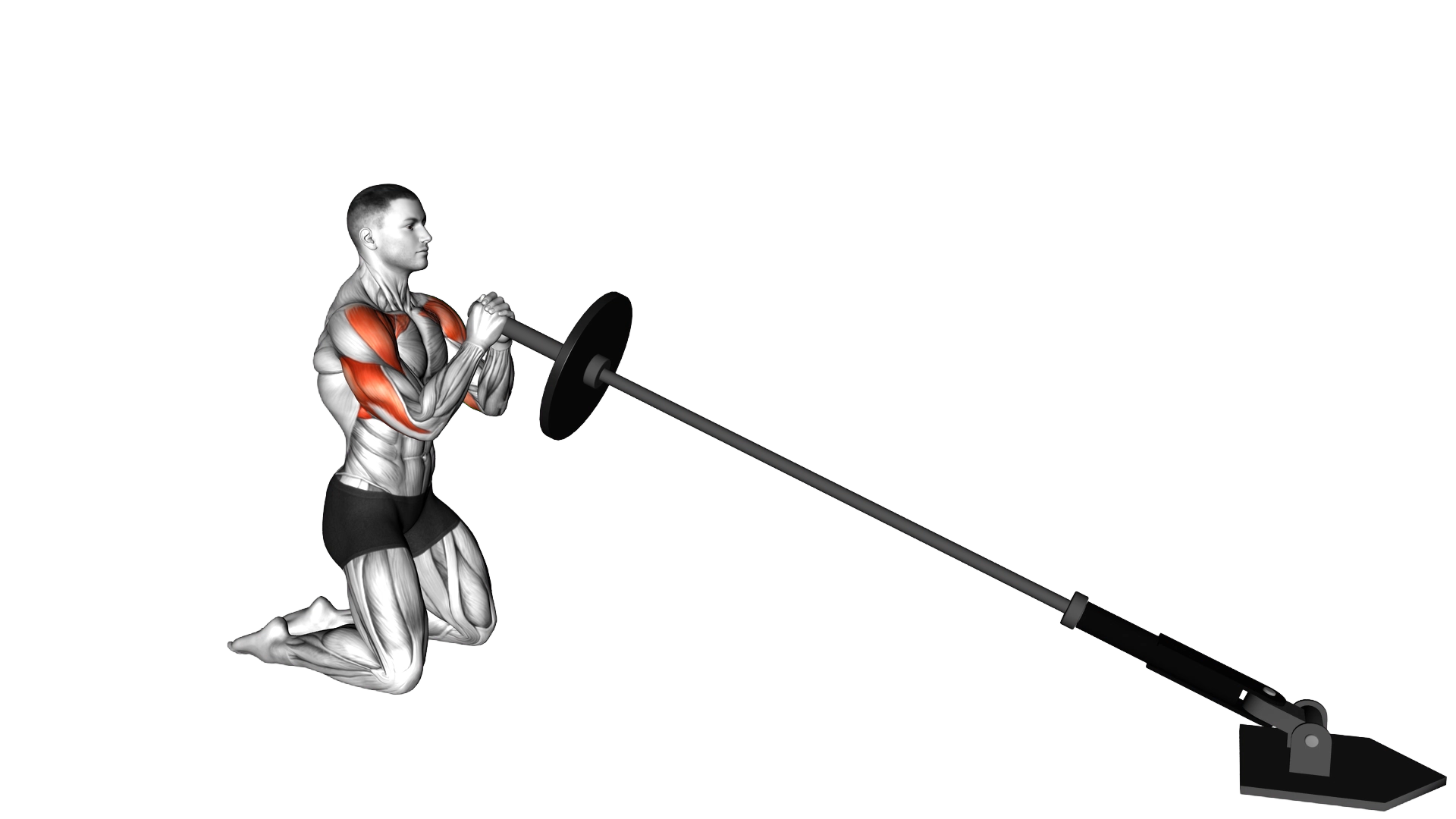 Landmine Kneeling Squeeze Press exercise demonstration