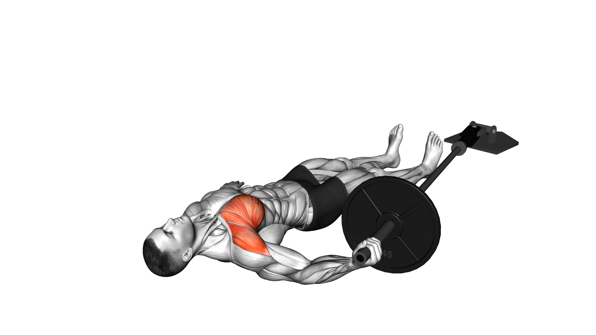 Landmine Floor One Arm Chest Fly exercise demonstration