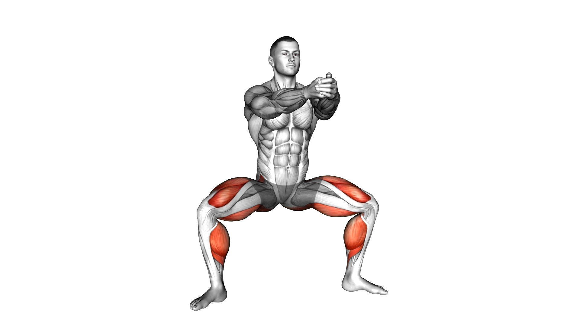 Squat Tip Toe exercise demonstration