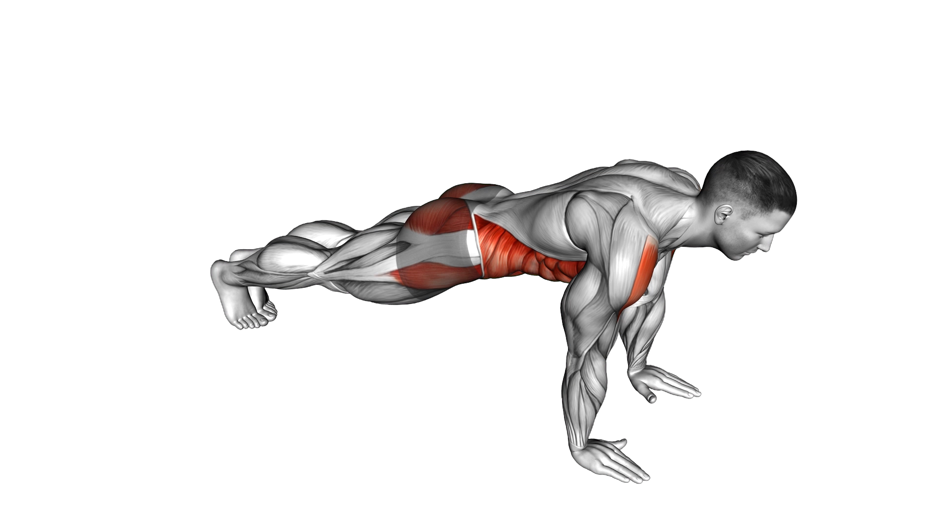 Plank Jack exercise demonstration
