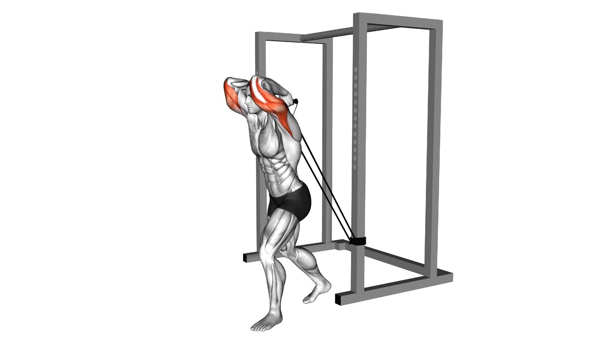 Band overhead triceps extension exercise demonstration