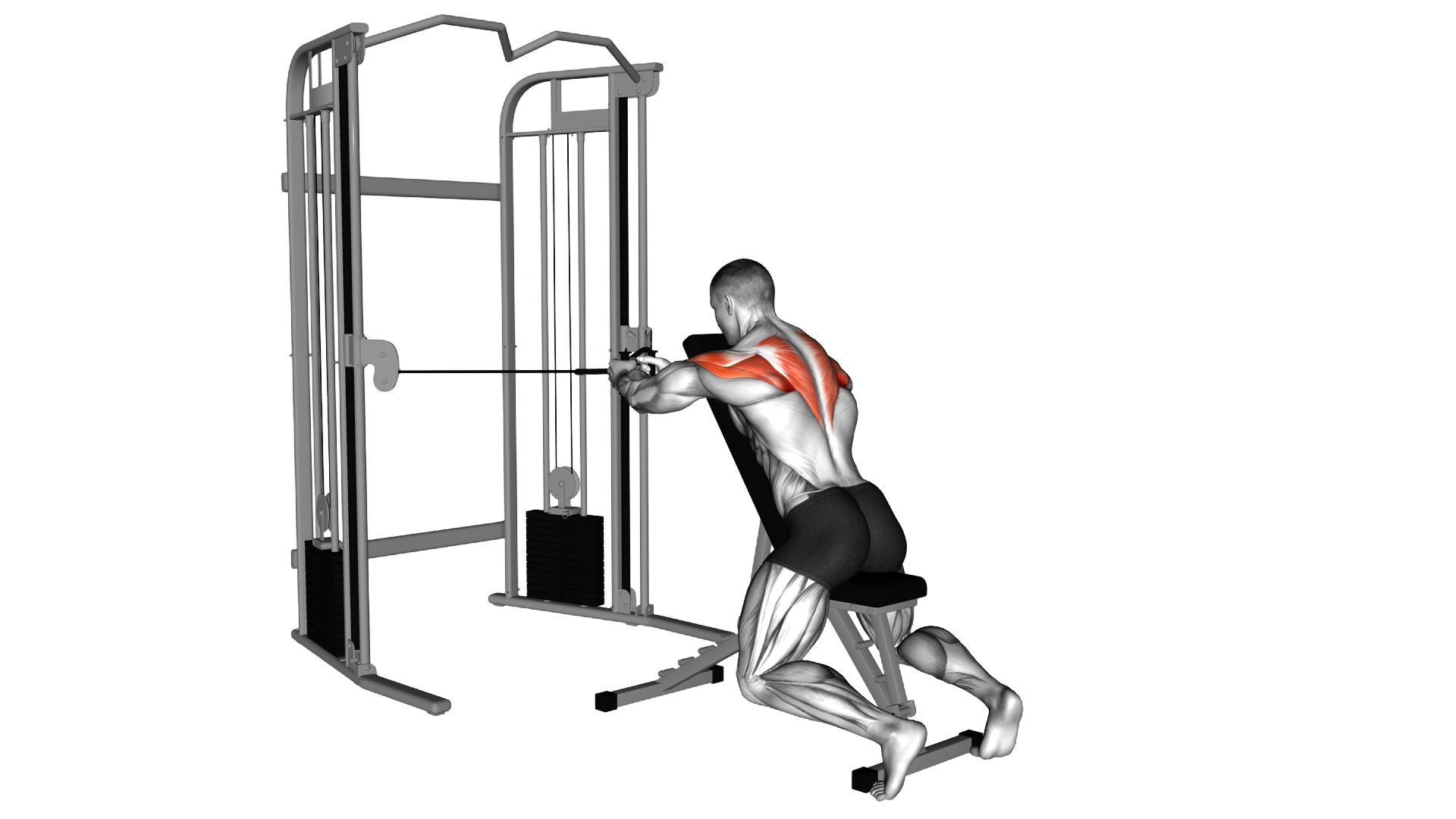 Cable Seated Rear Delt Fly with Chest Support exercise thumbnail