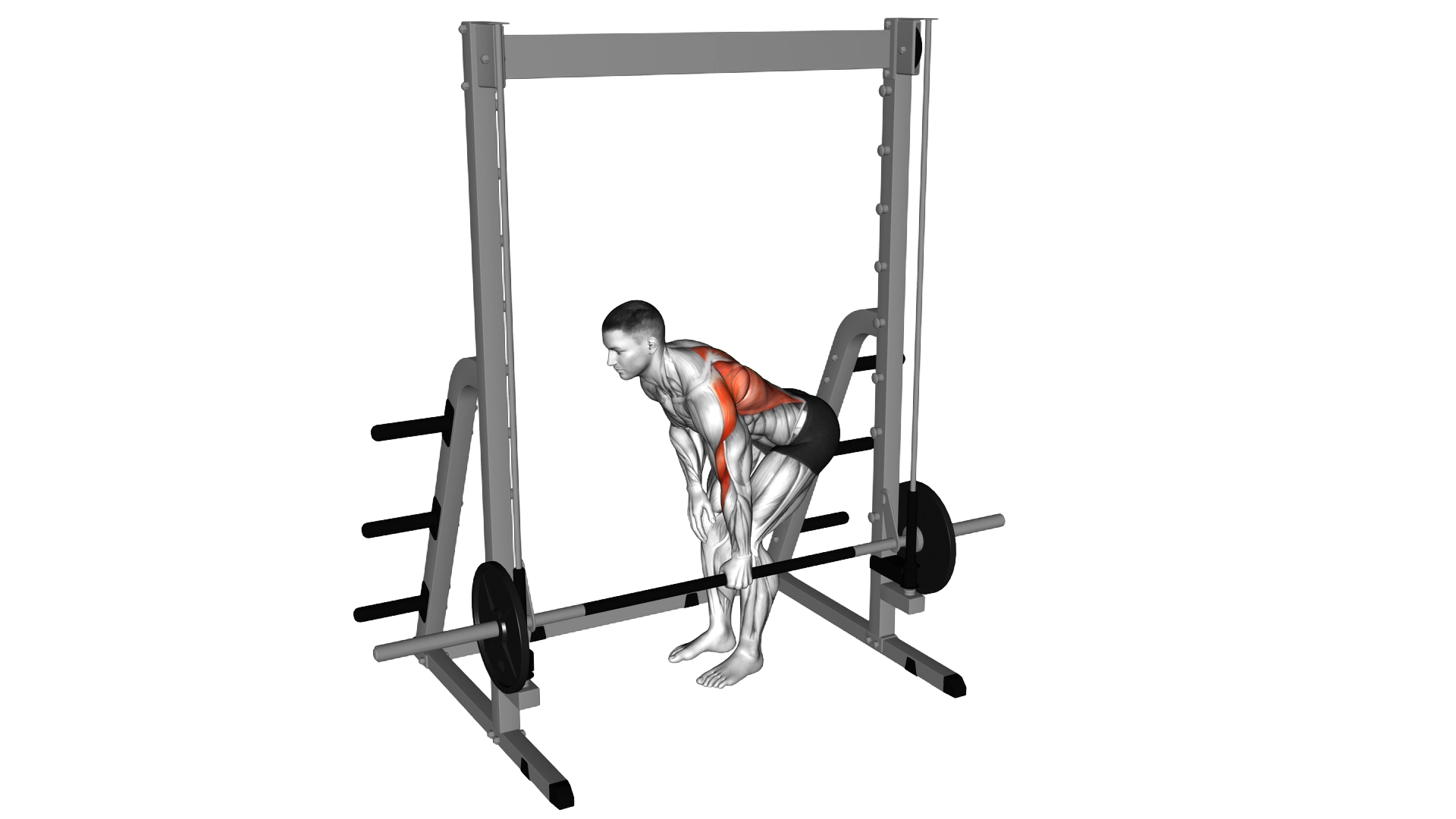 Smith Single Arm Bent Over Row exercise thumbnail