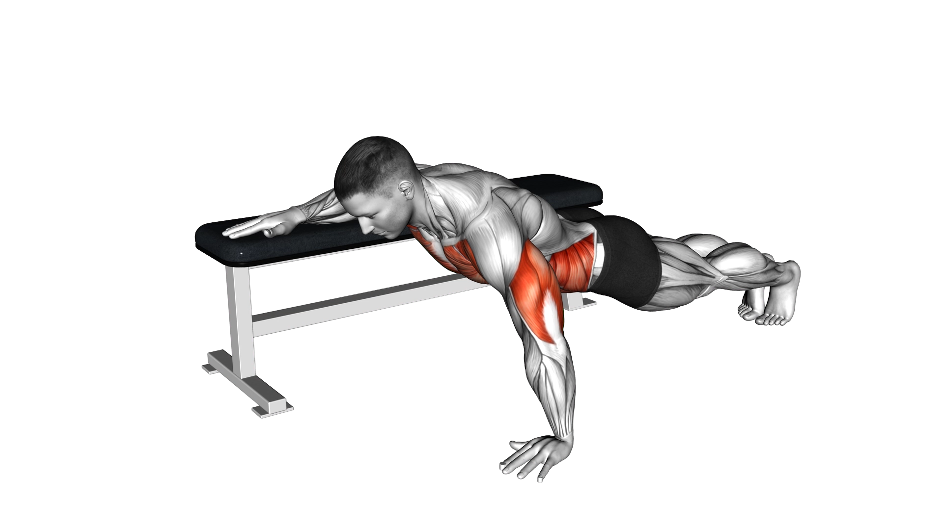 Twist Push up exercise demonstration