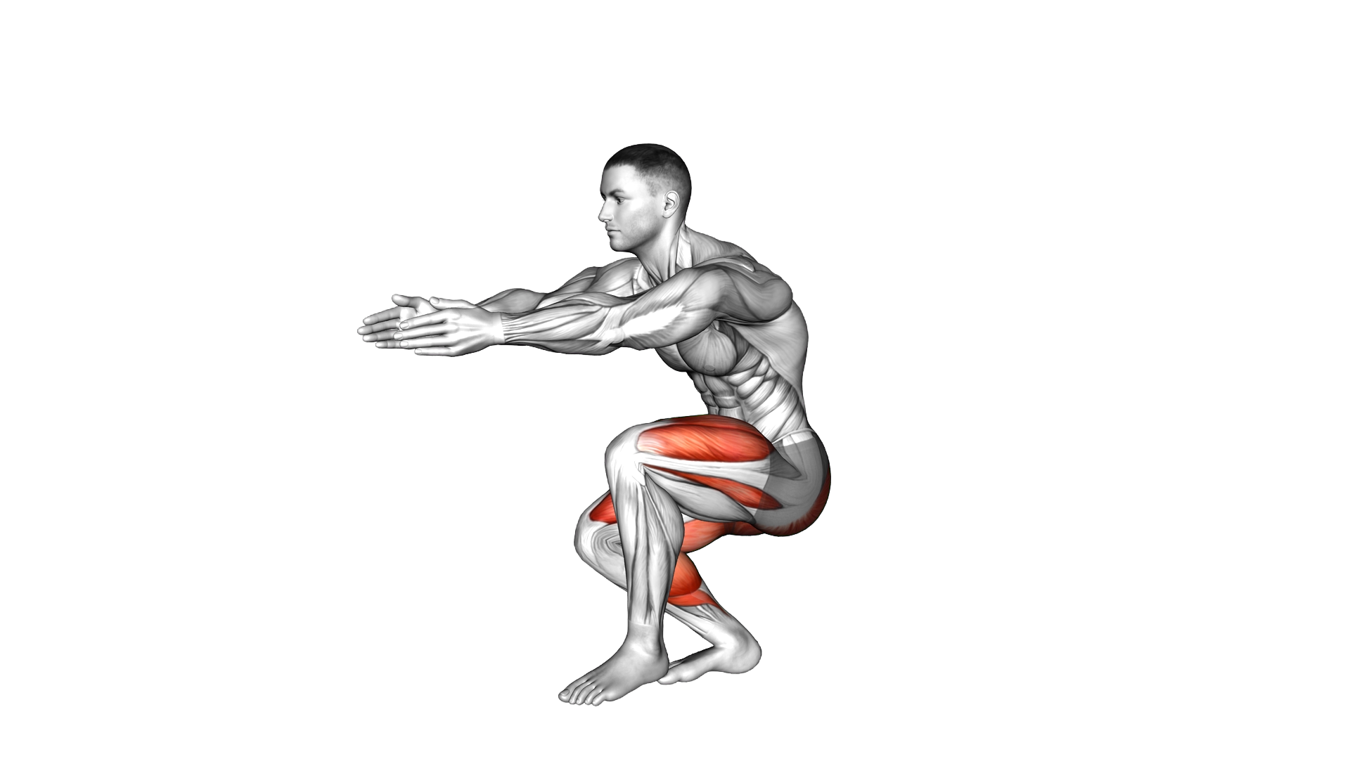Static Lunge Kick exercise demonstration