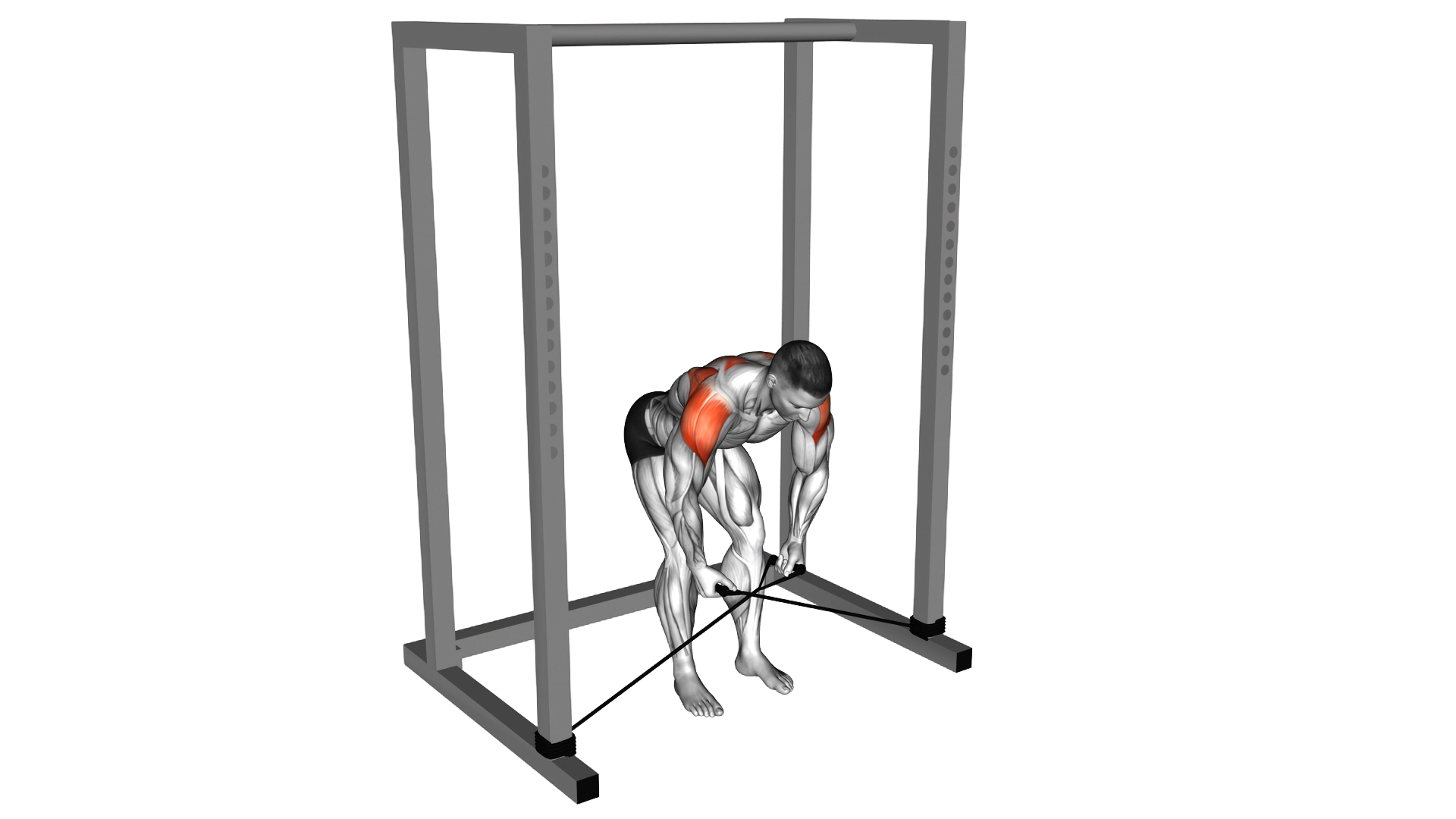 Band bent over rear lateral raise exercise demonstration
