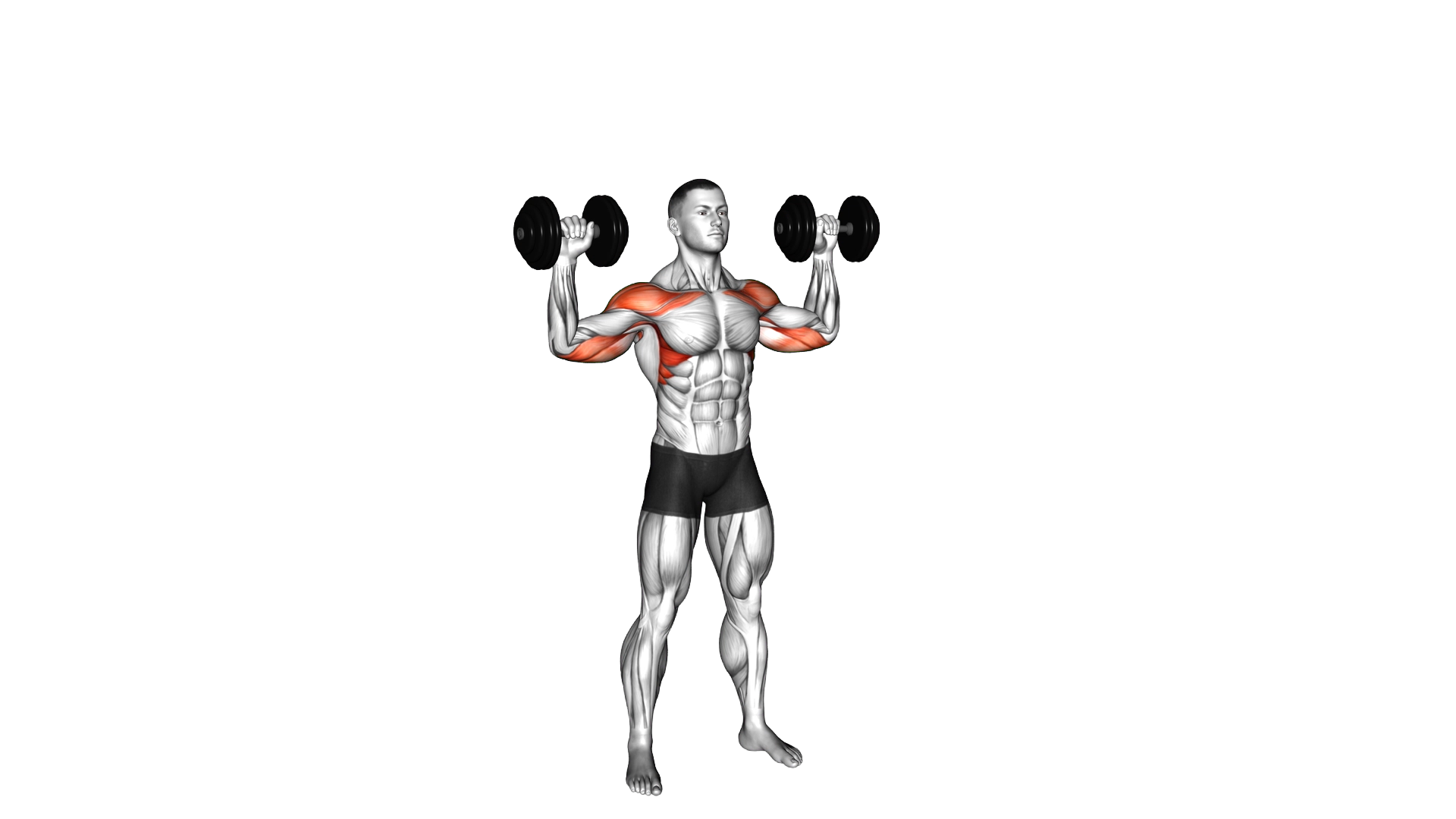 Dumbbell Alternate Shoulder Press exercise demonstration