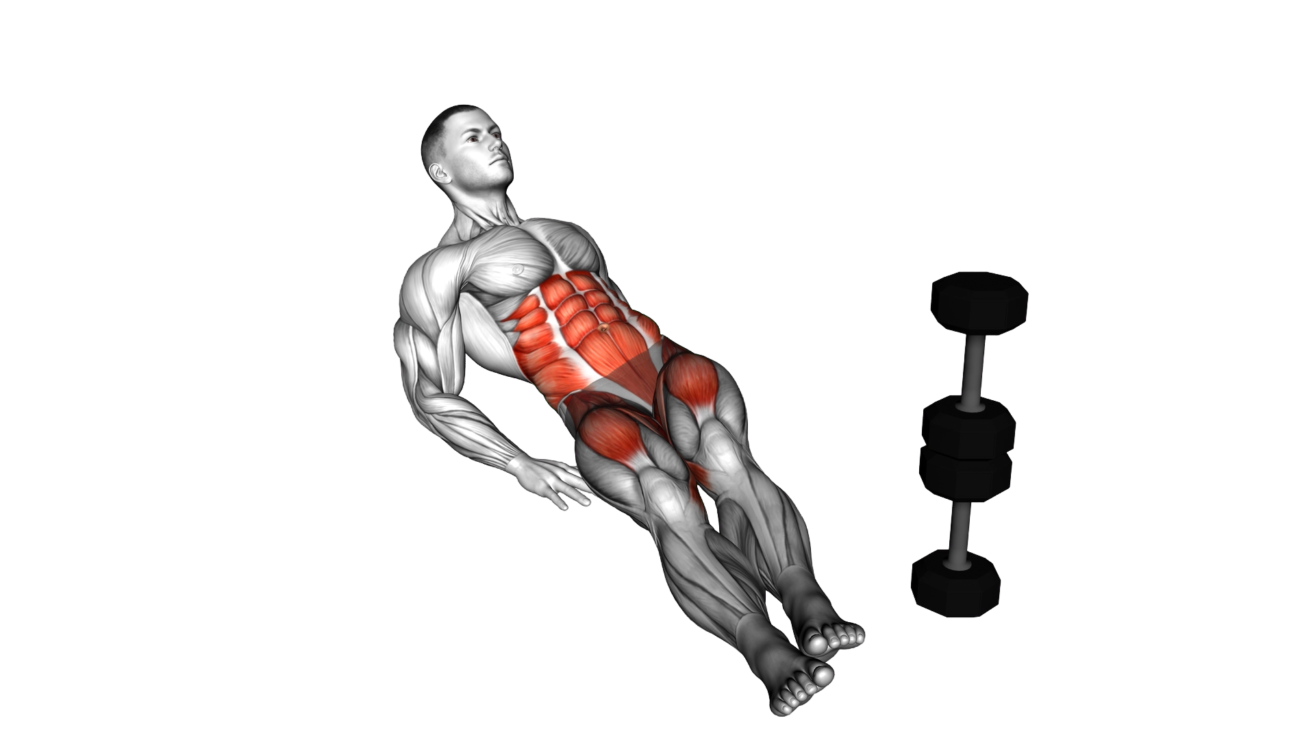 Seated Side to Side Leg Raise Crunch on Floor exercise demonstration