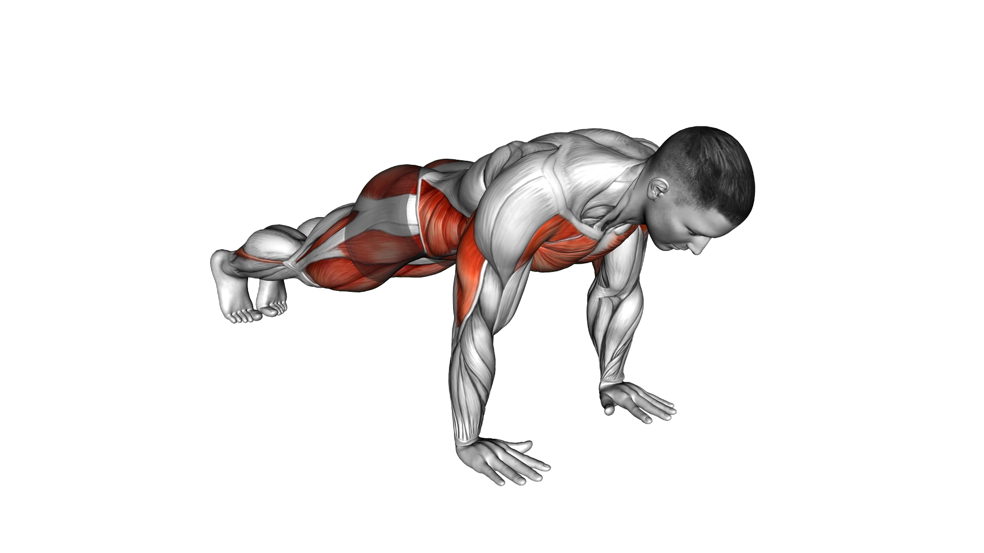 Cross Body Push up exercise demonstration
