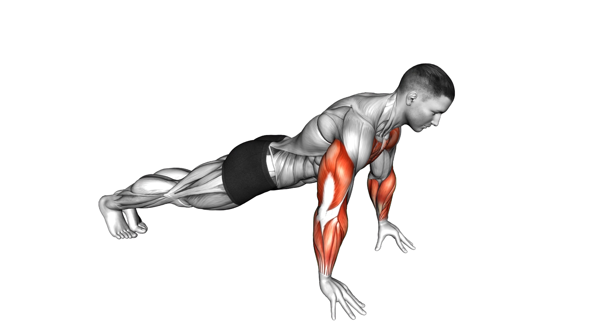 Finger Push up exercise demonstration