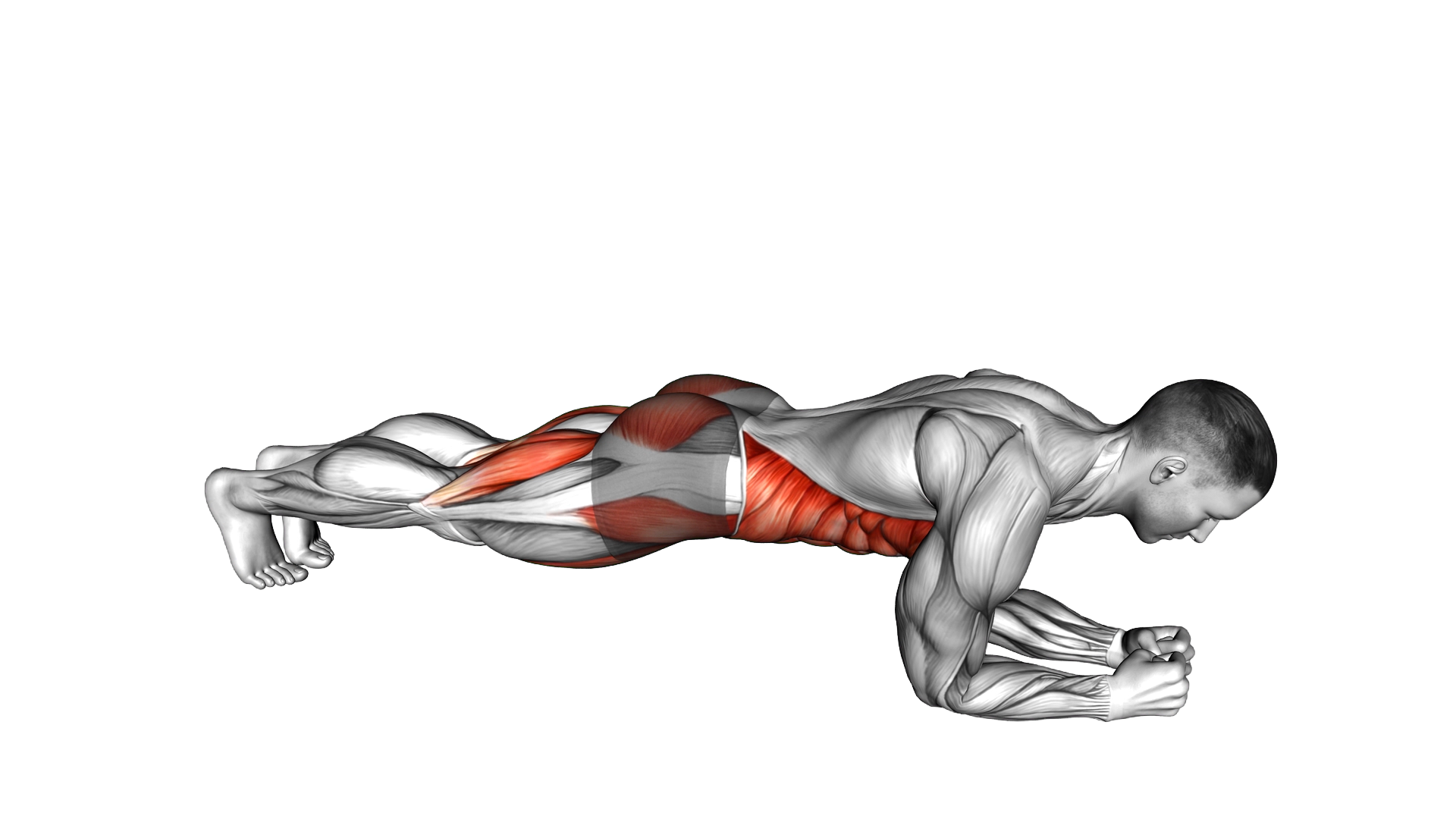 Leg Lift to Chest Front Plank exercise demonstration