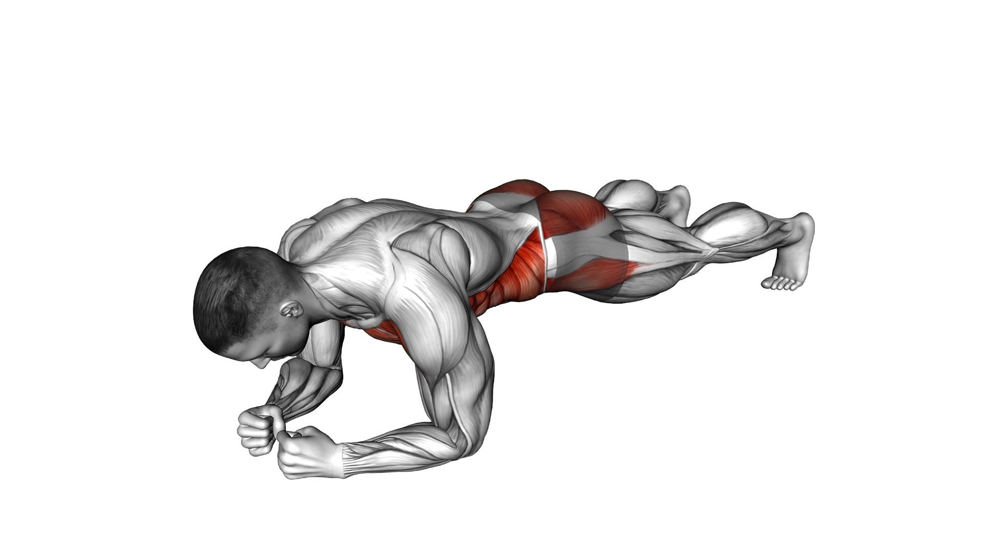 One Arm Front Plank exercise demonstration