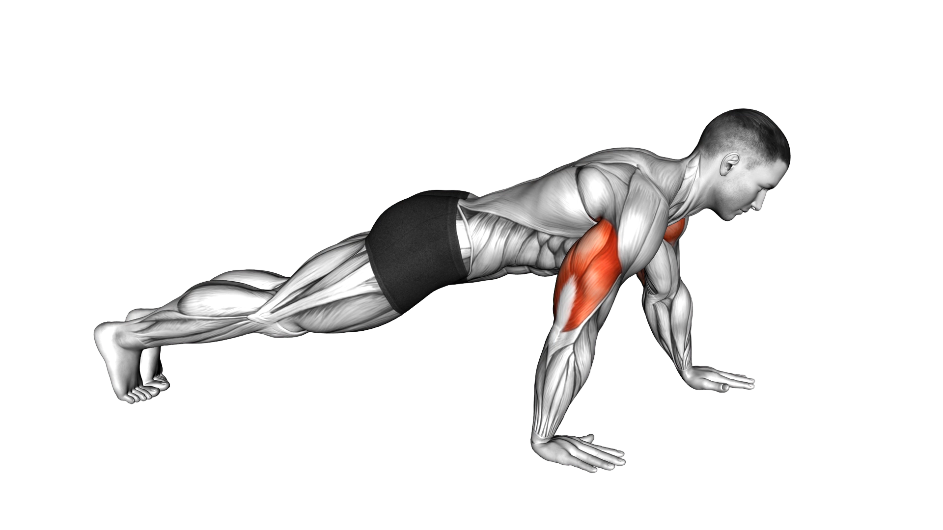 Push up Hand by Hand exercise demonstration