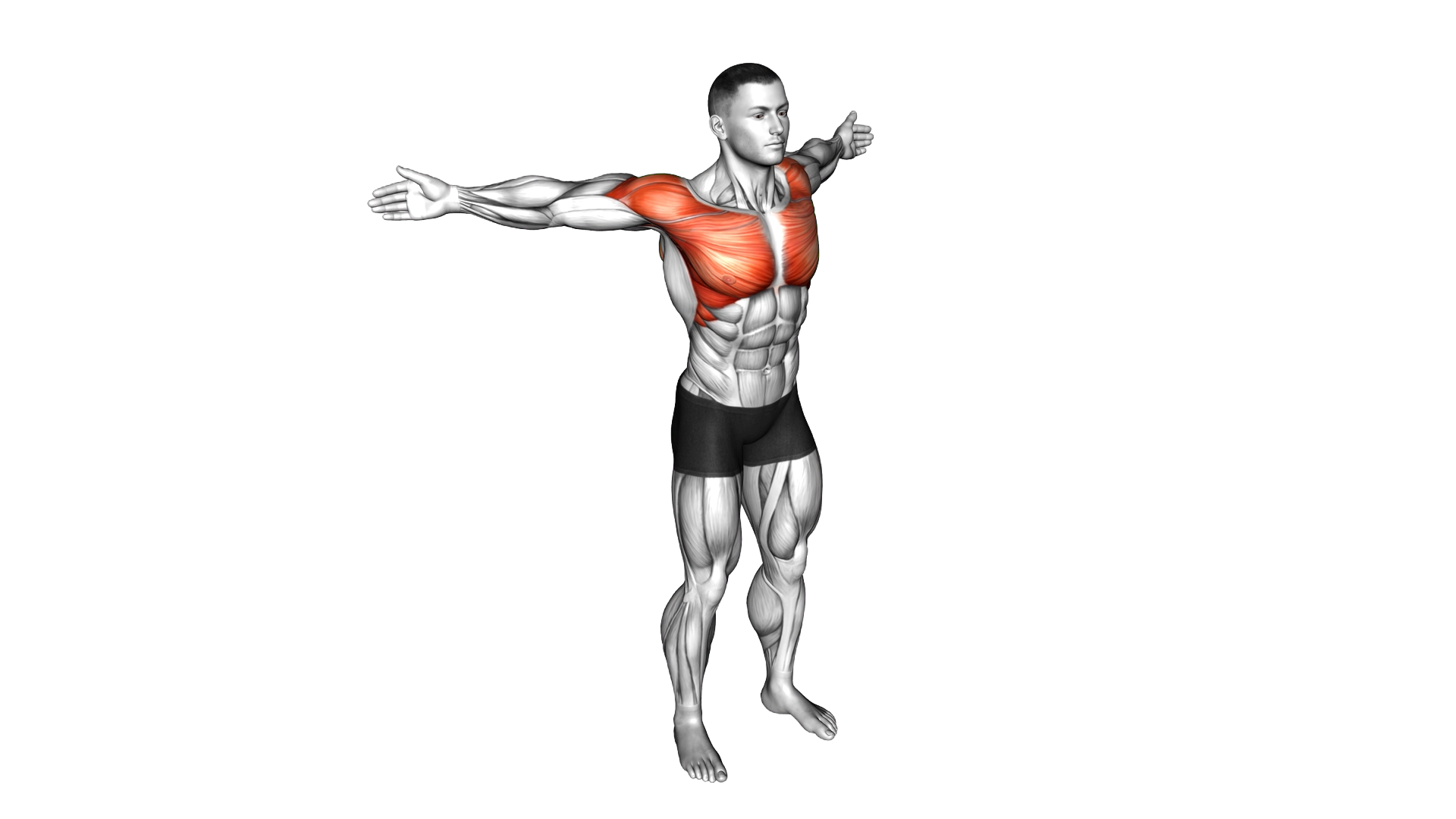 Back Slaps Wrap Arround Stretch exercise demonstration