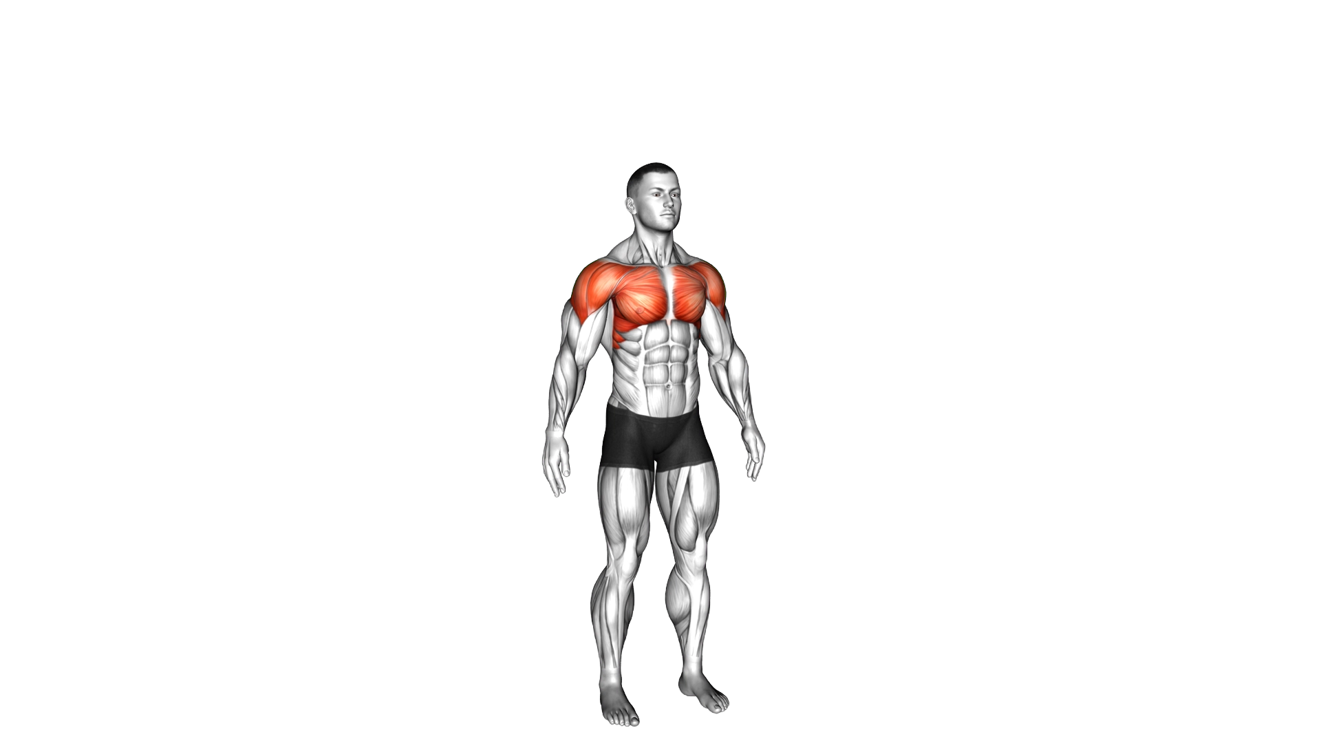 Circles Arm exercise demonstration