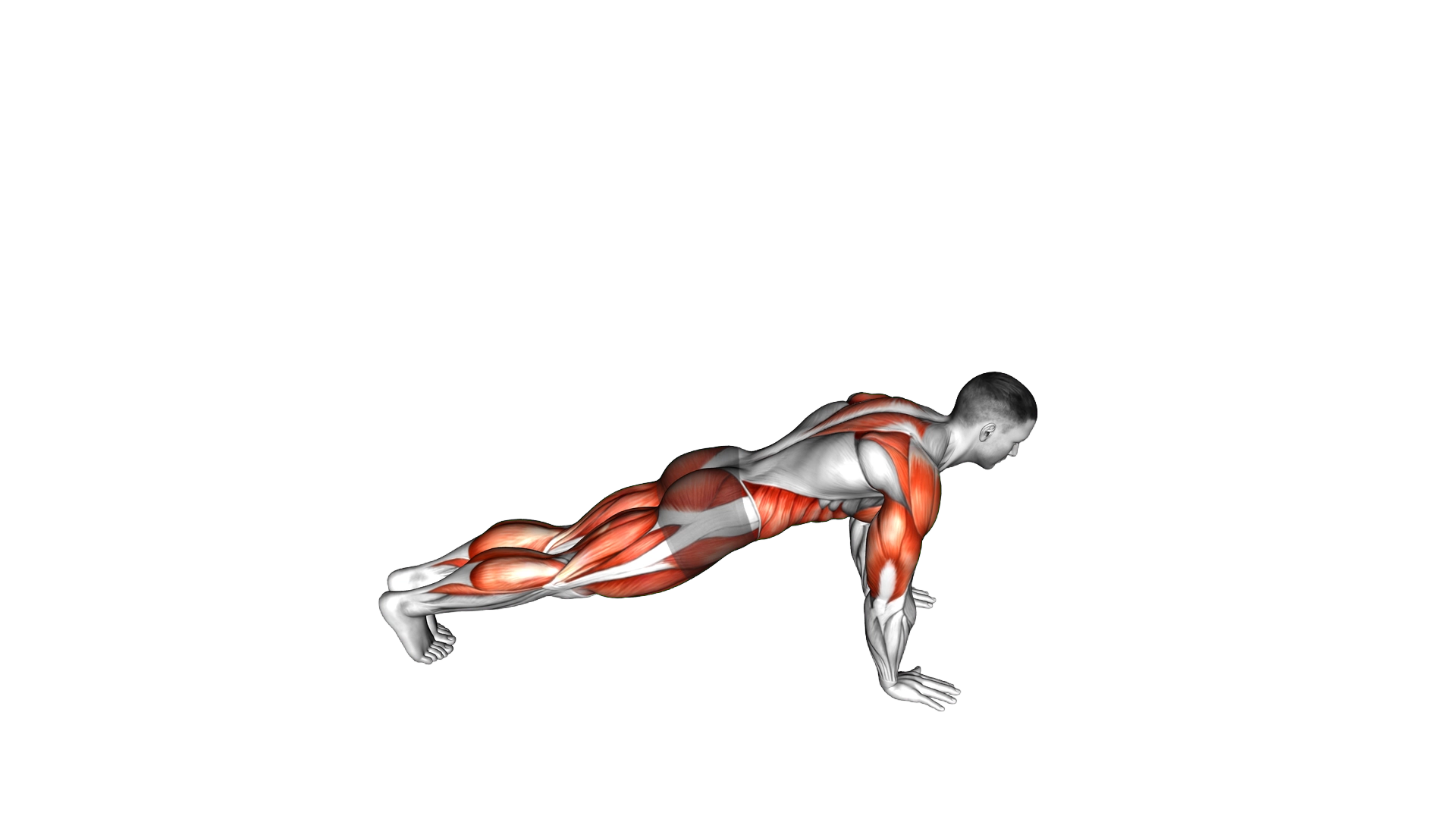 Low Lunge Twist exercise demonstration