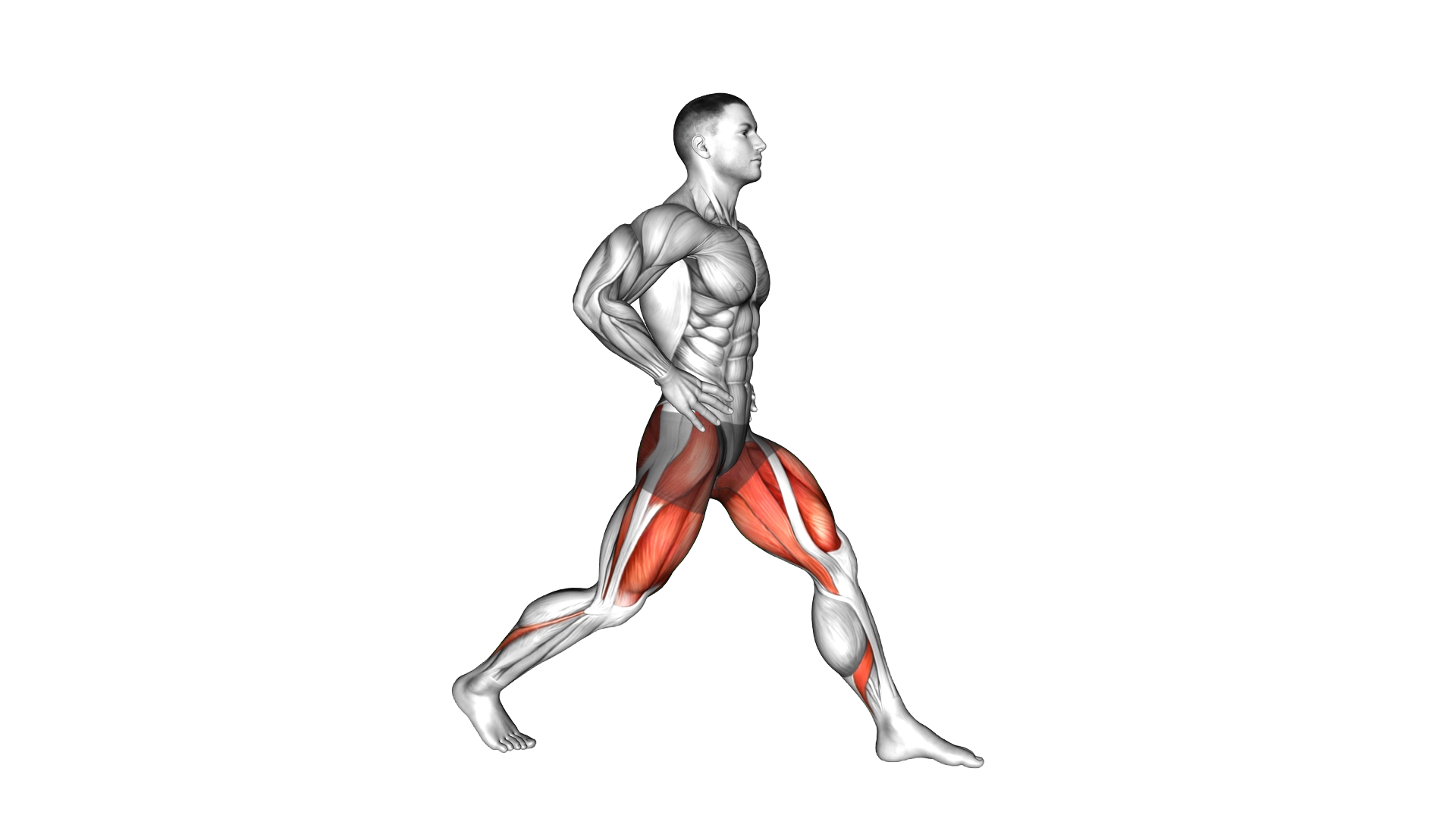 Static Lunge exercise demonstration