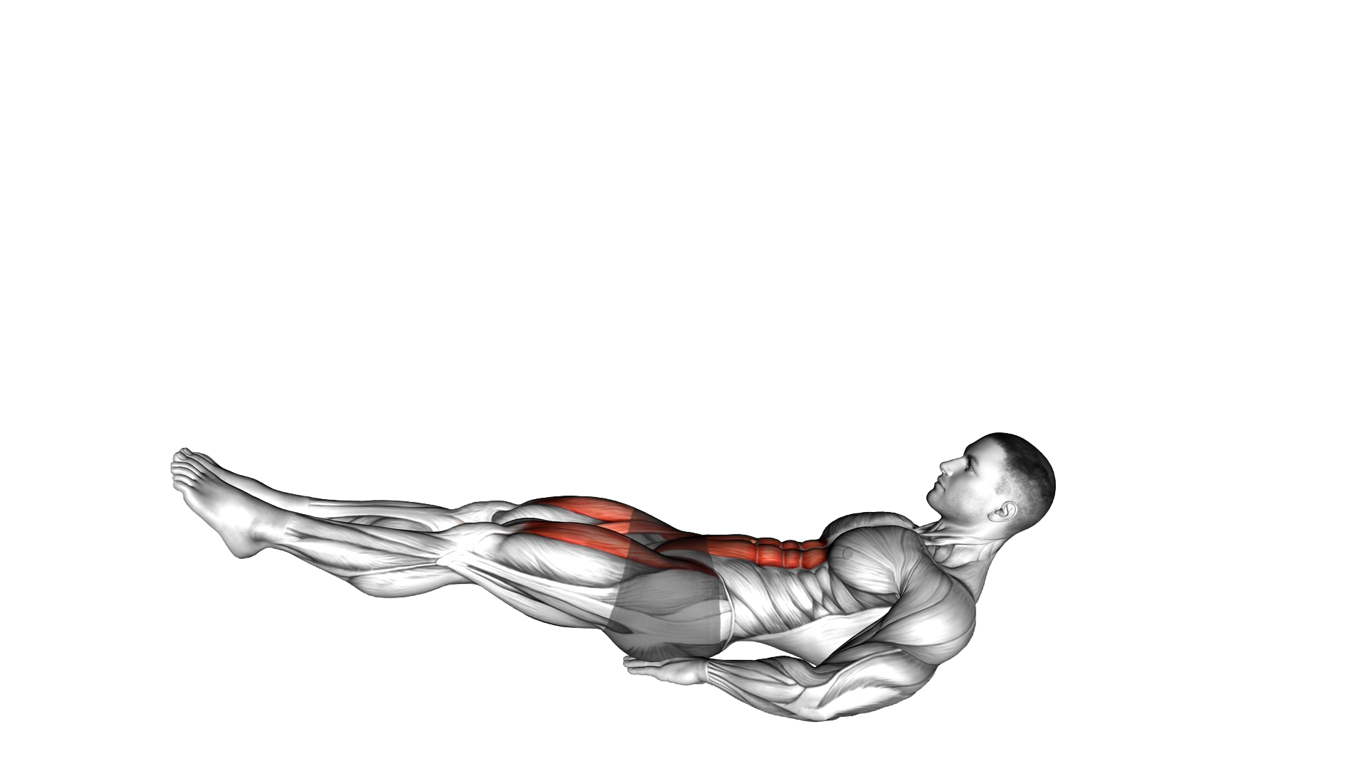 Alternate Leg Raise with Head up exercise demonstration