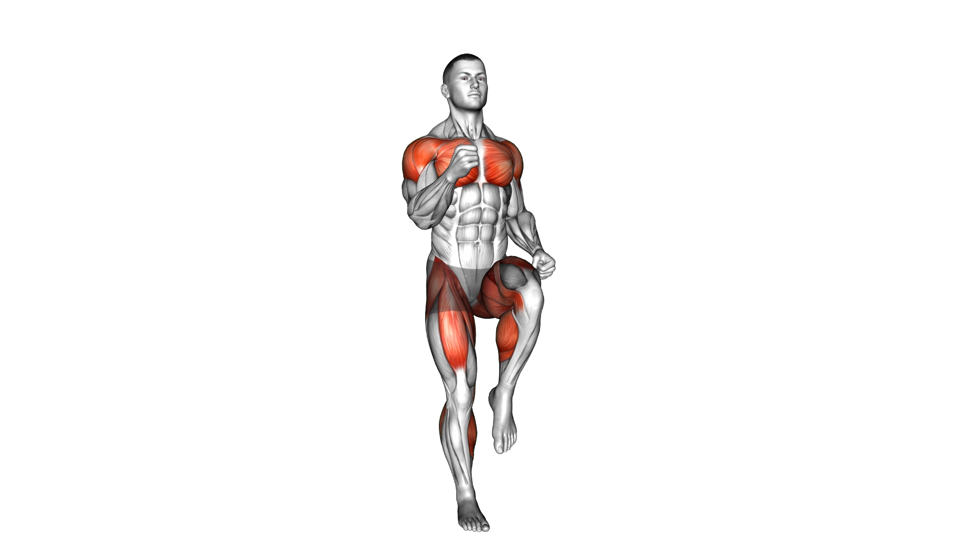 Place Jog exercise demonstration
