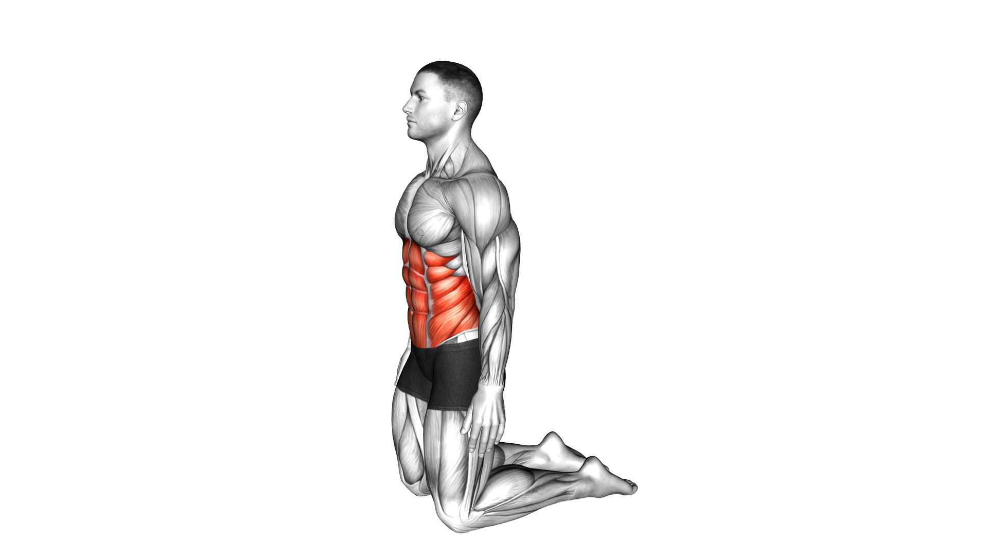 Backward Abdominal Stretch exercise demonstration