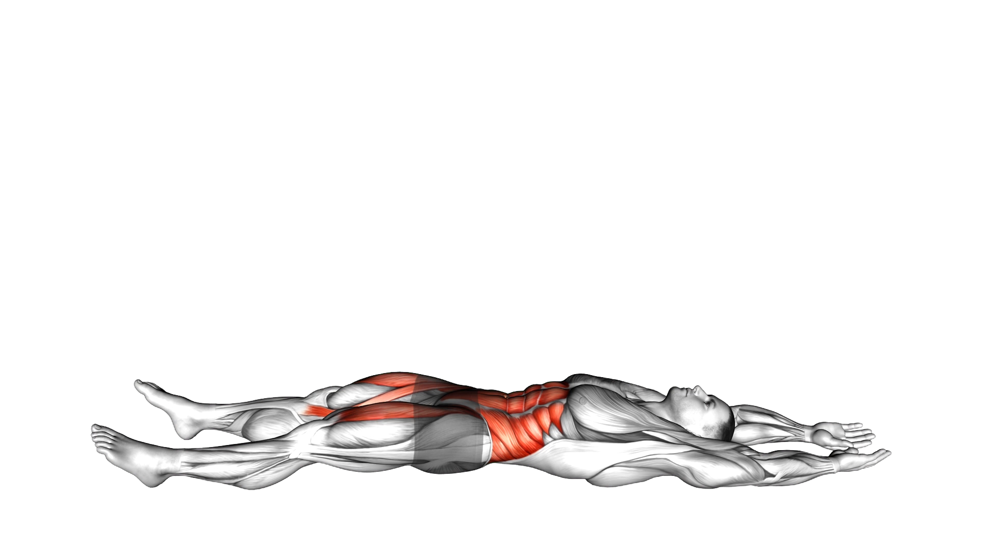 Straight Leg Sit Up exercise demonstration