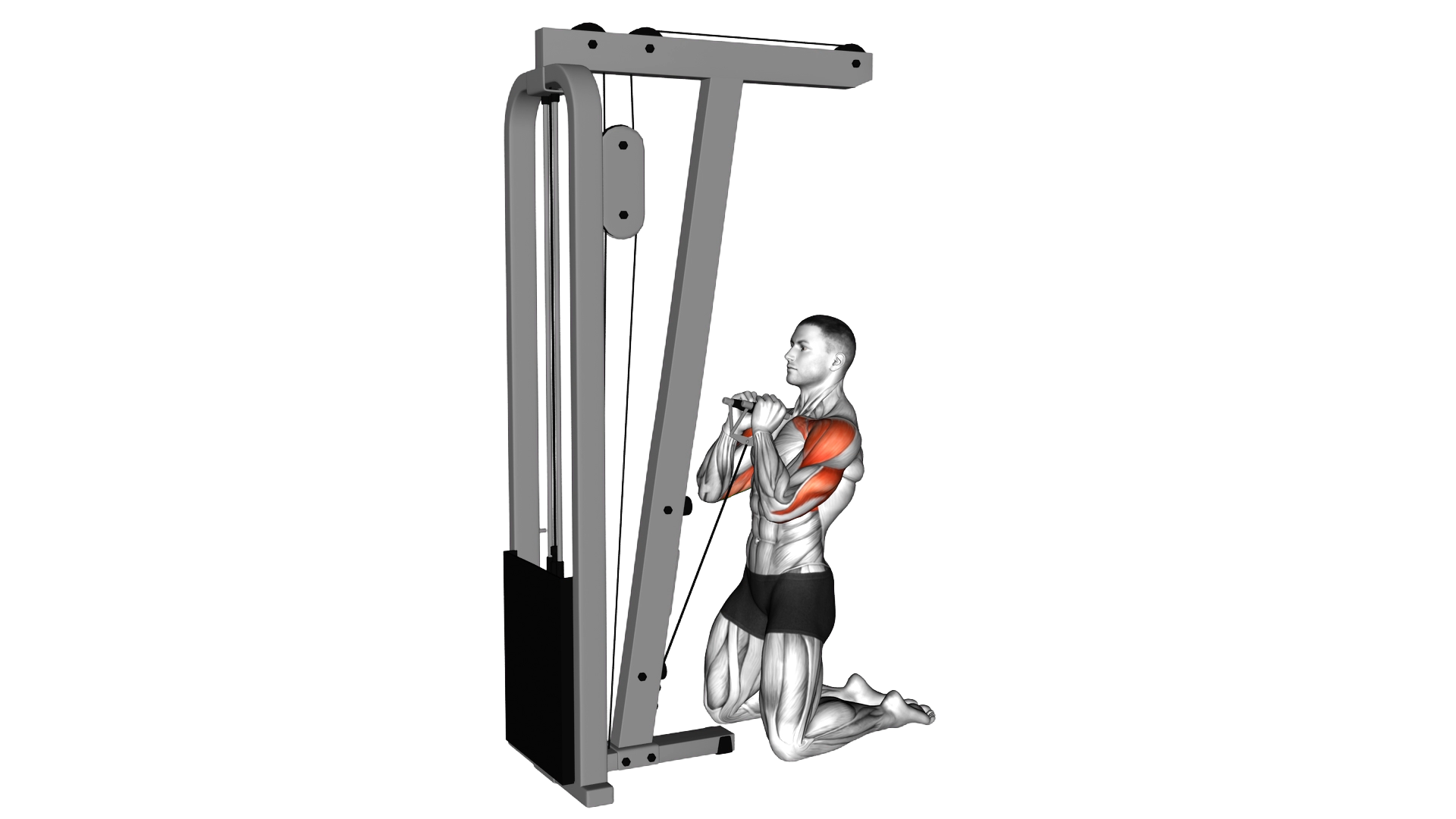 Cable Kneeling Shoulder Press exercise demonstration