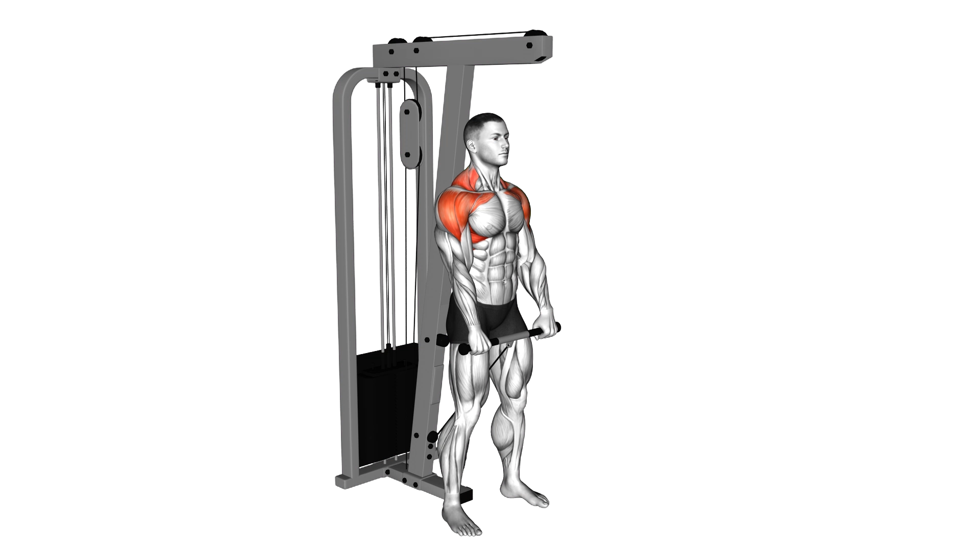 Cable Standing Front Raise Variation exercise demonstration