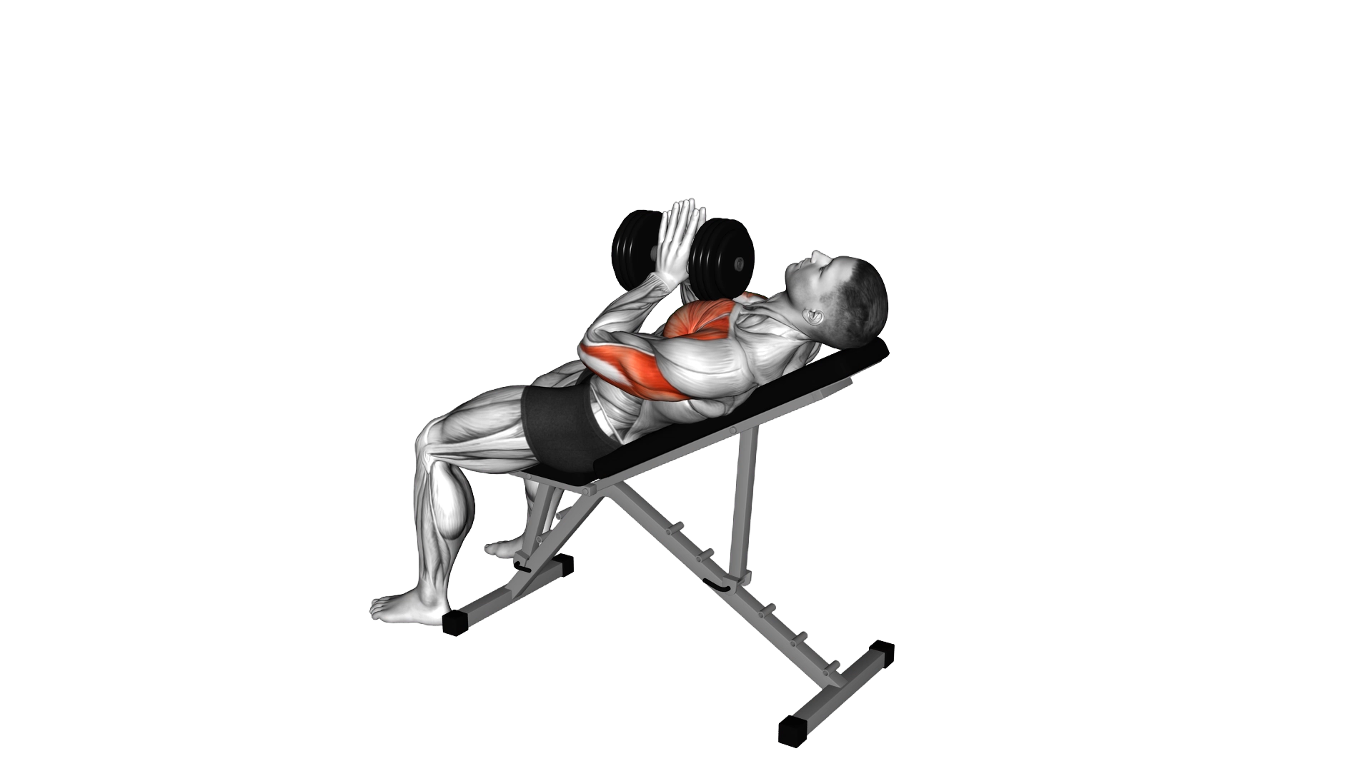 Dumbbell Incline Close grip Press Variation exercise demonstration